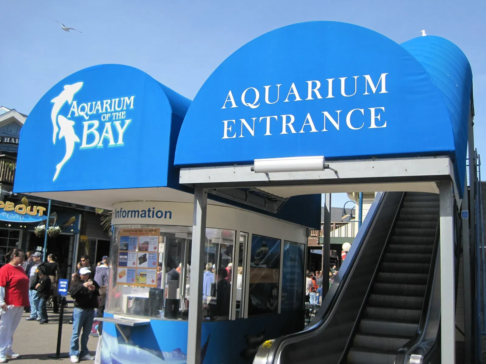 Aquarium of the Bay