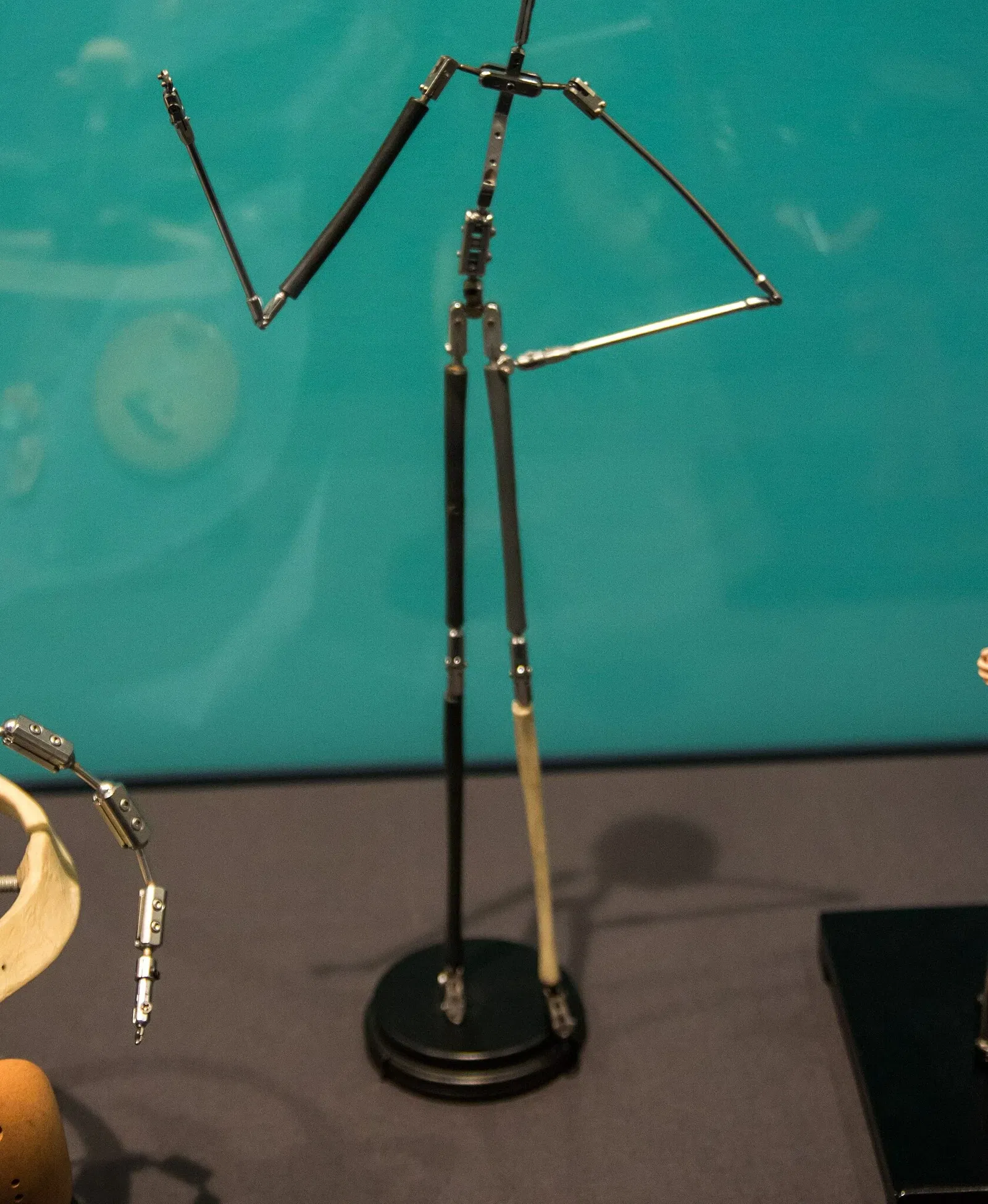 Walt Disney Family Museum