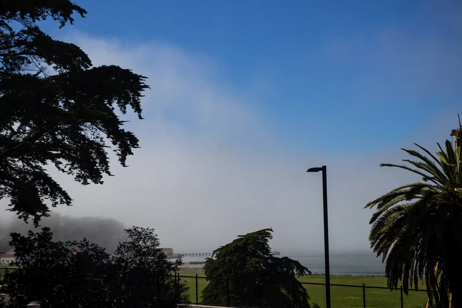 Walt Disney Family Museum