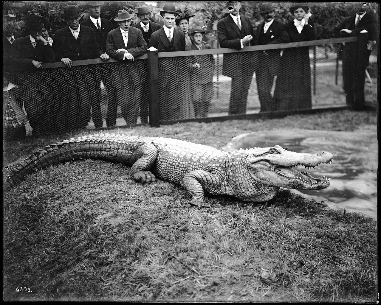 California Historical Society Museum
