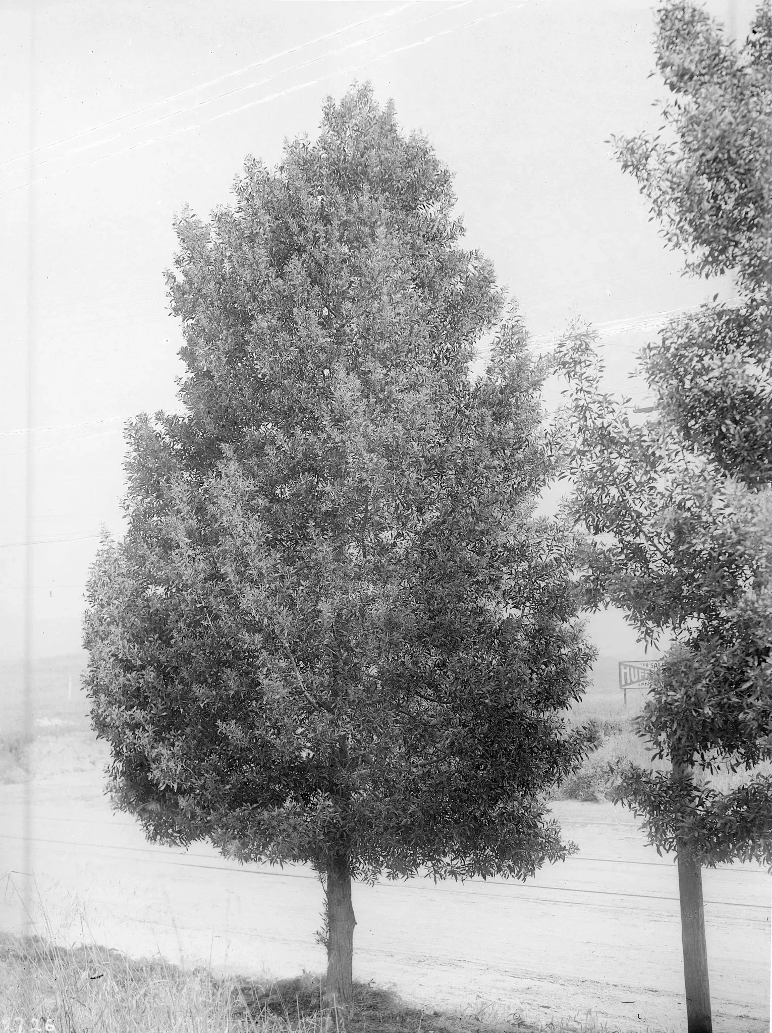 California Historical Society Museum