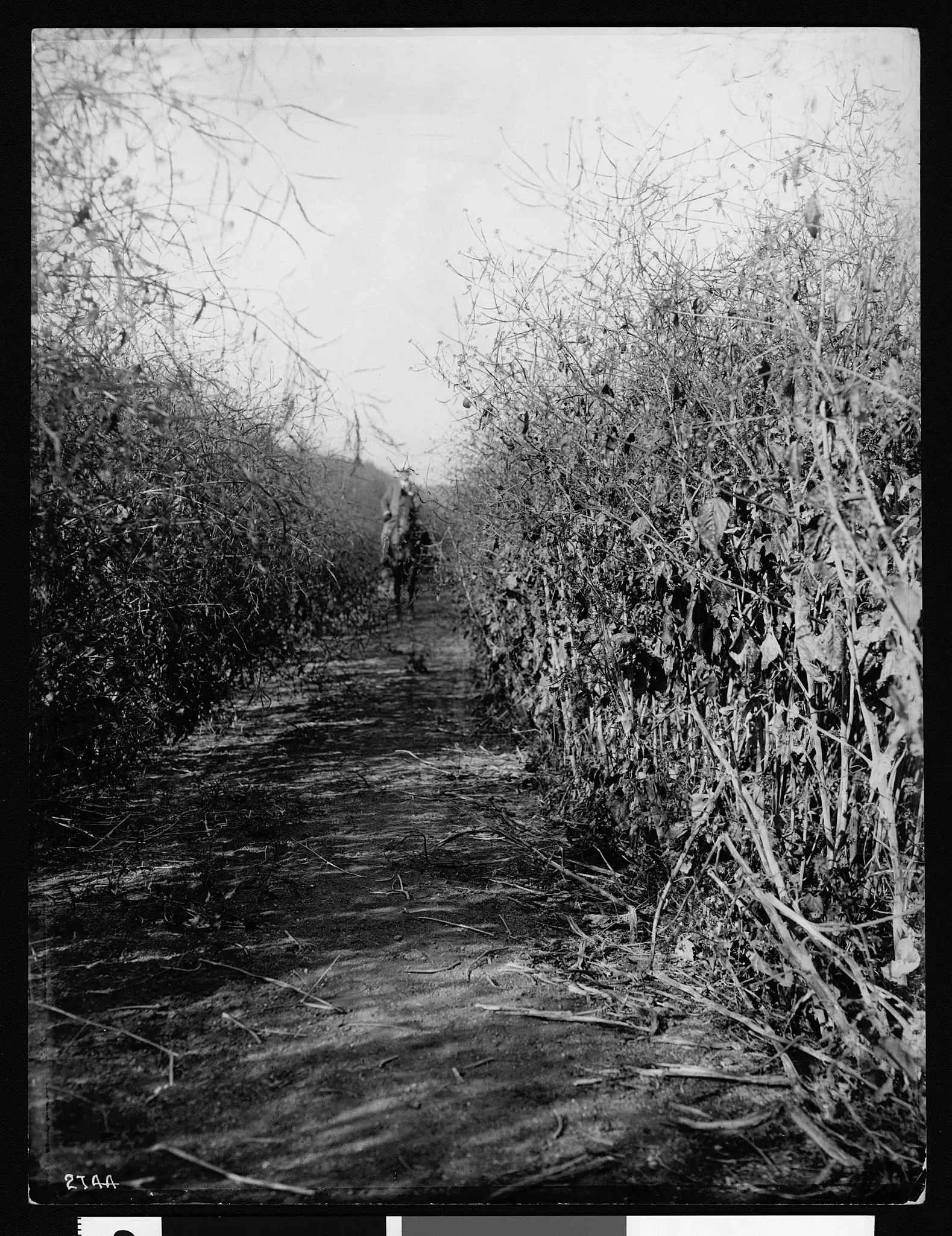 California Historical Society Museum