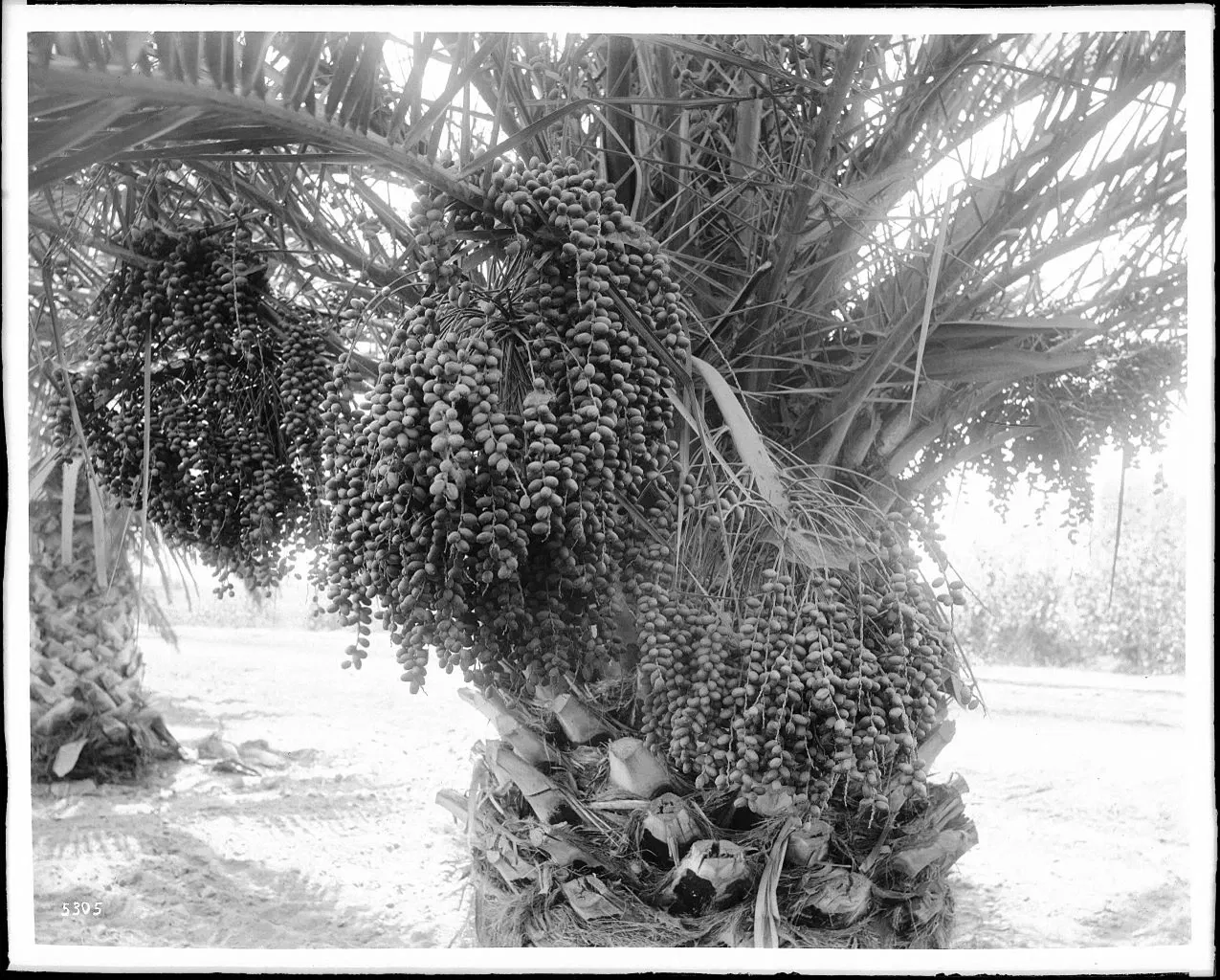 California Historical Society Museum