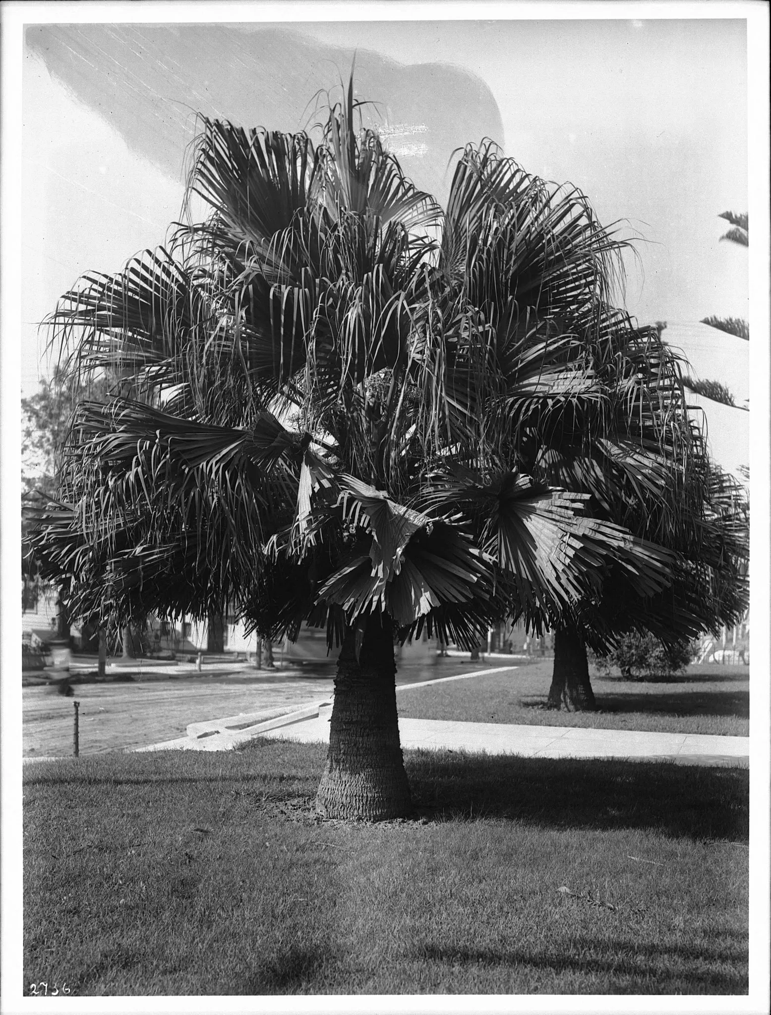 California Historical Society Museum