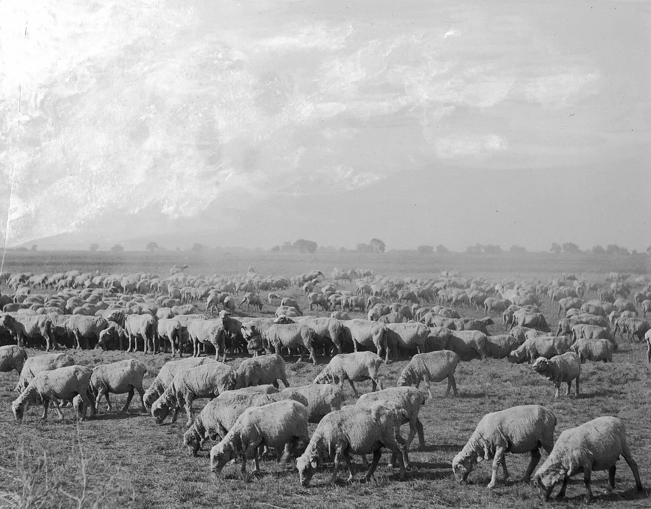California Historical Society Museum