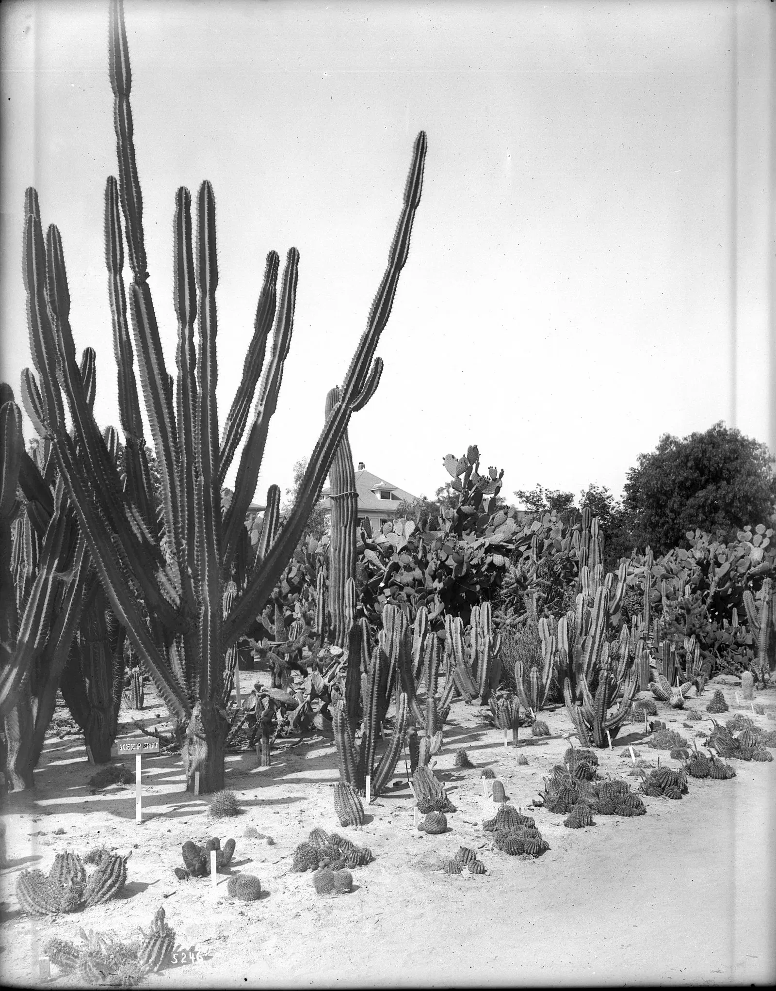 California Historical Society Museum