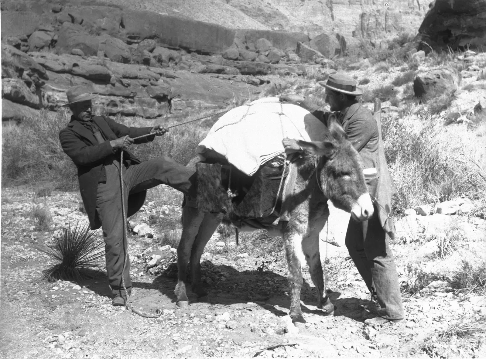 California Historical Society Museum