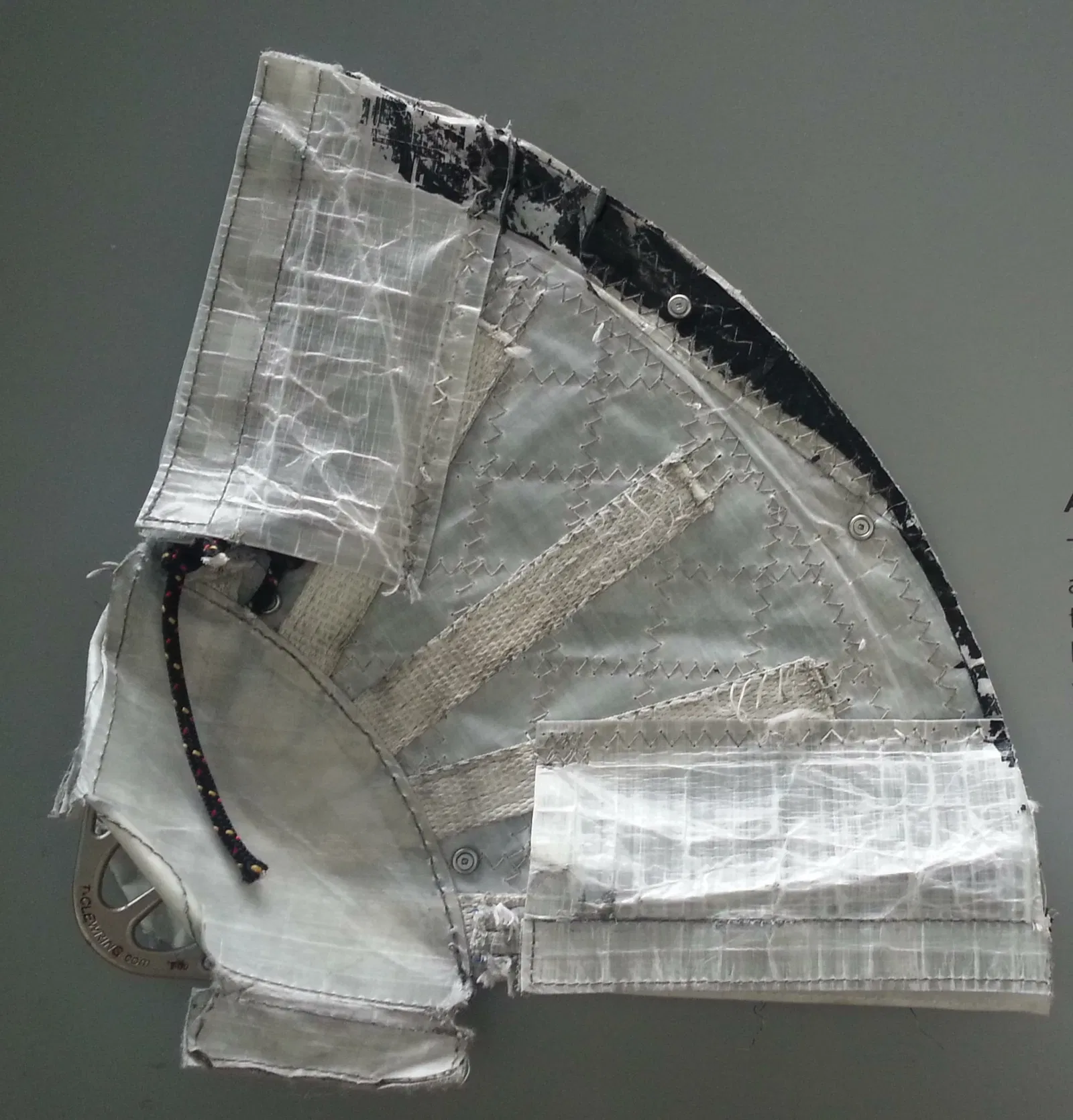 Academia de Ciencias de California