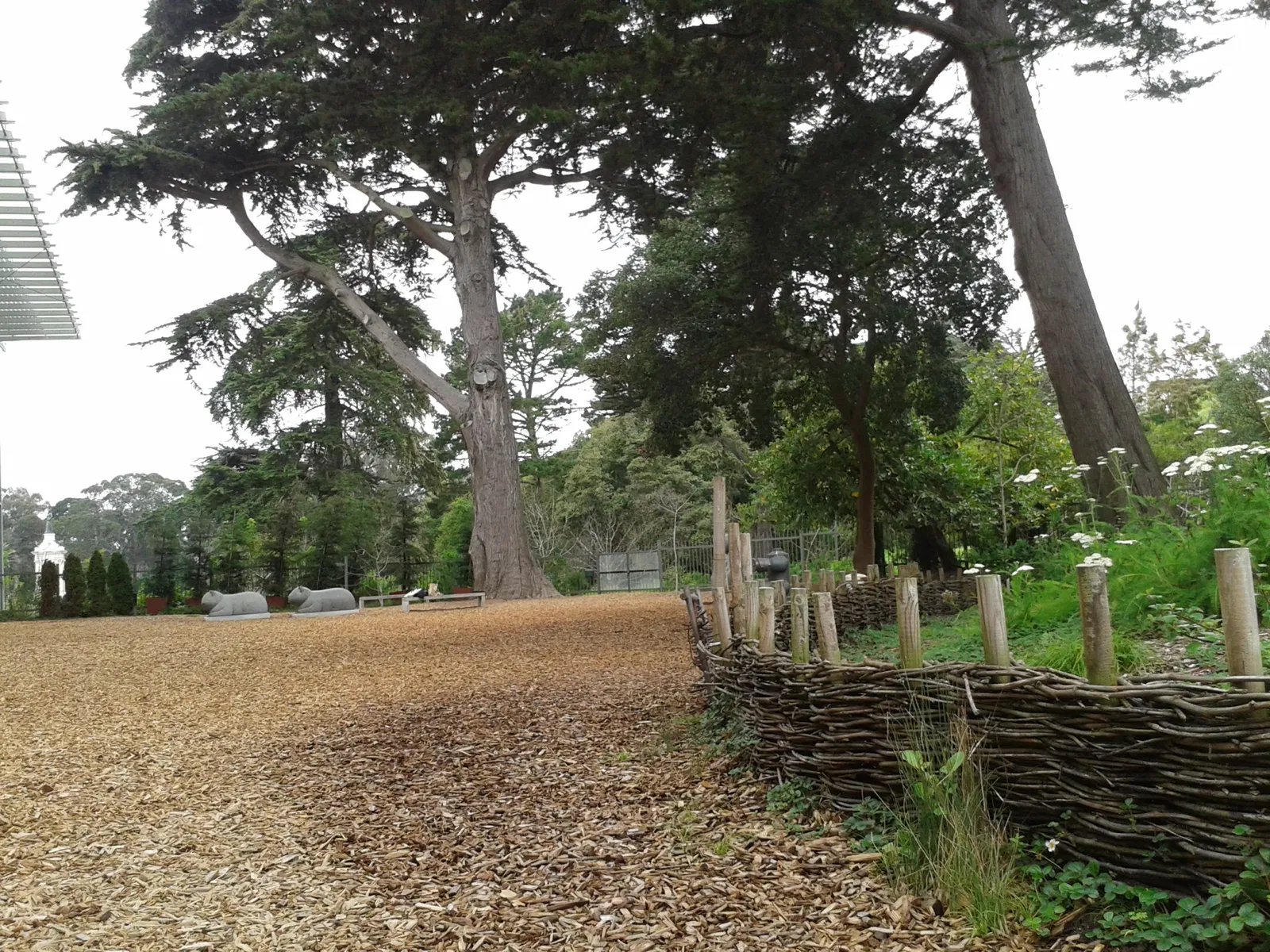 Academia de Ciencias de California