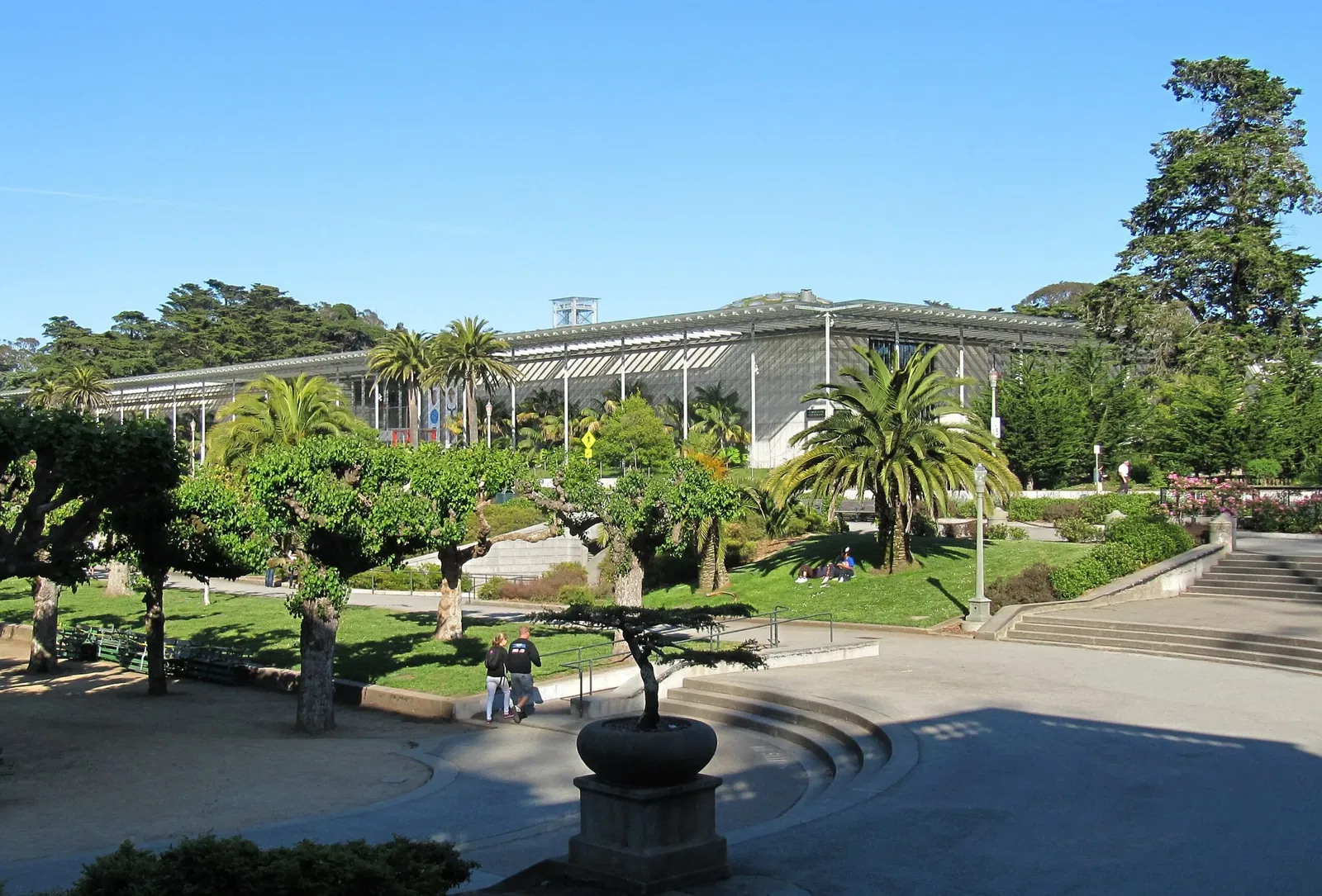 Academia de Ciencias de California