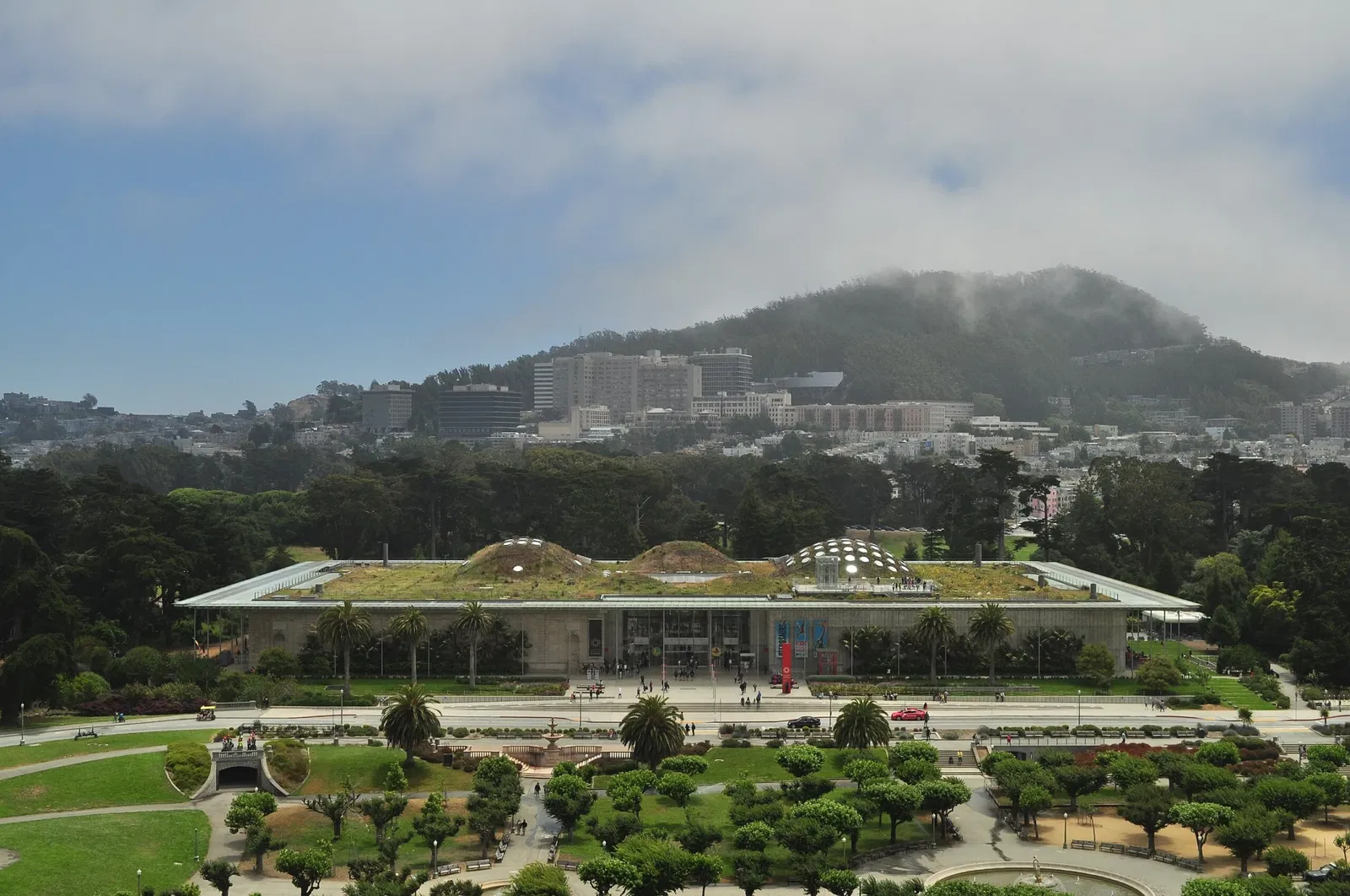 California Academy of Sciences