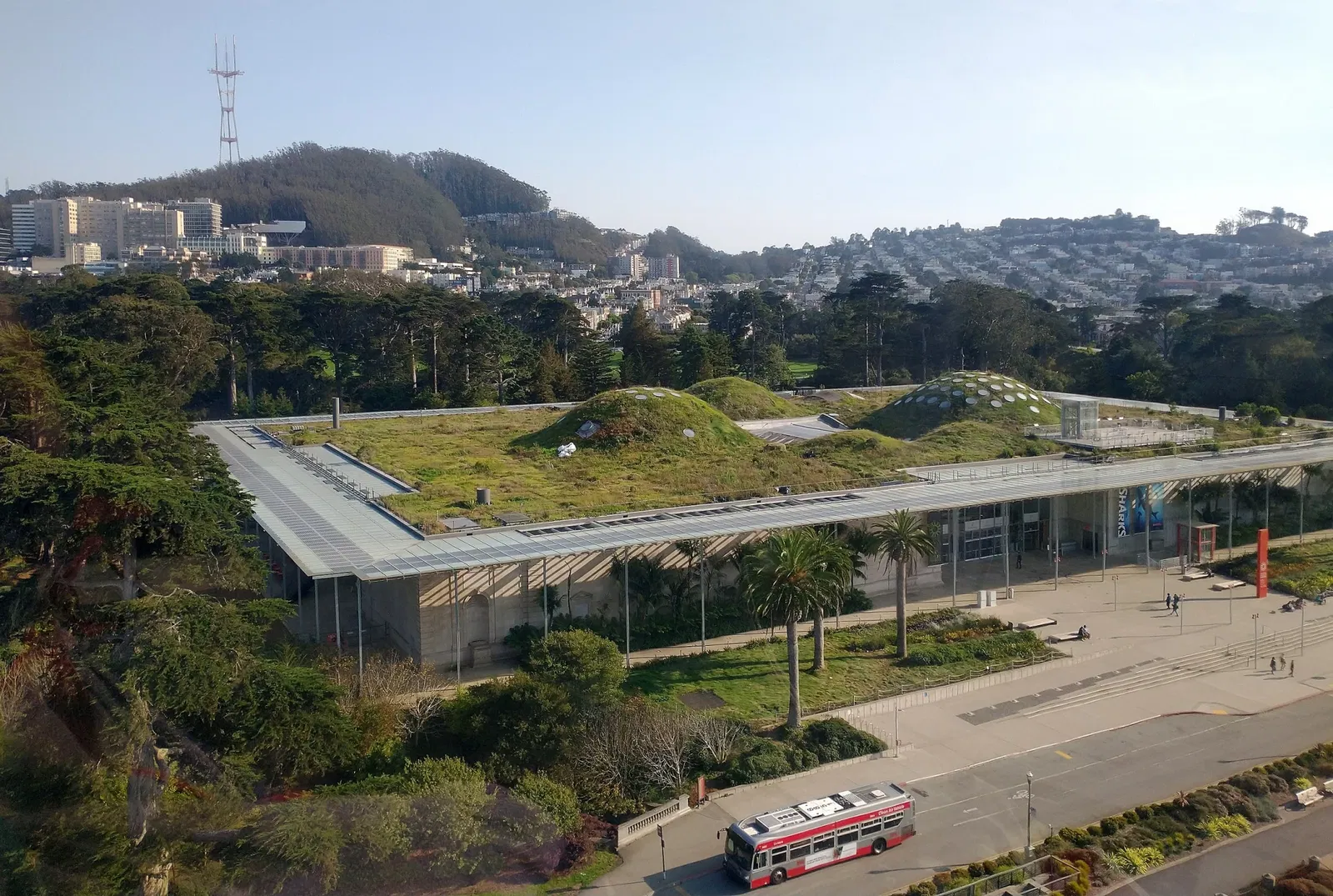 Academia de Ciencias de California