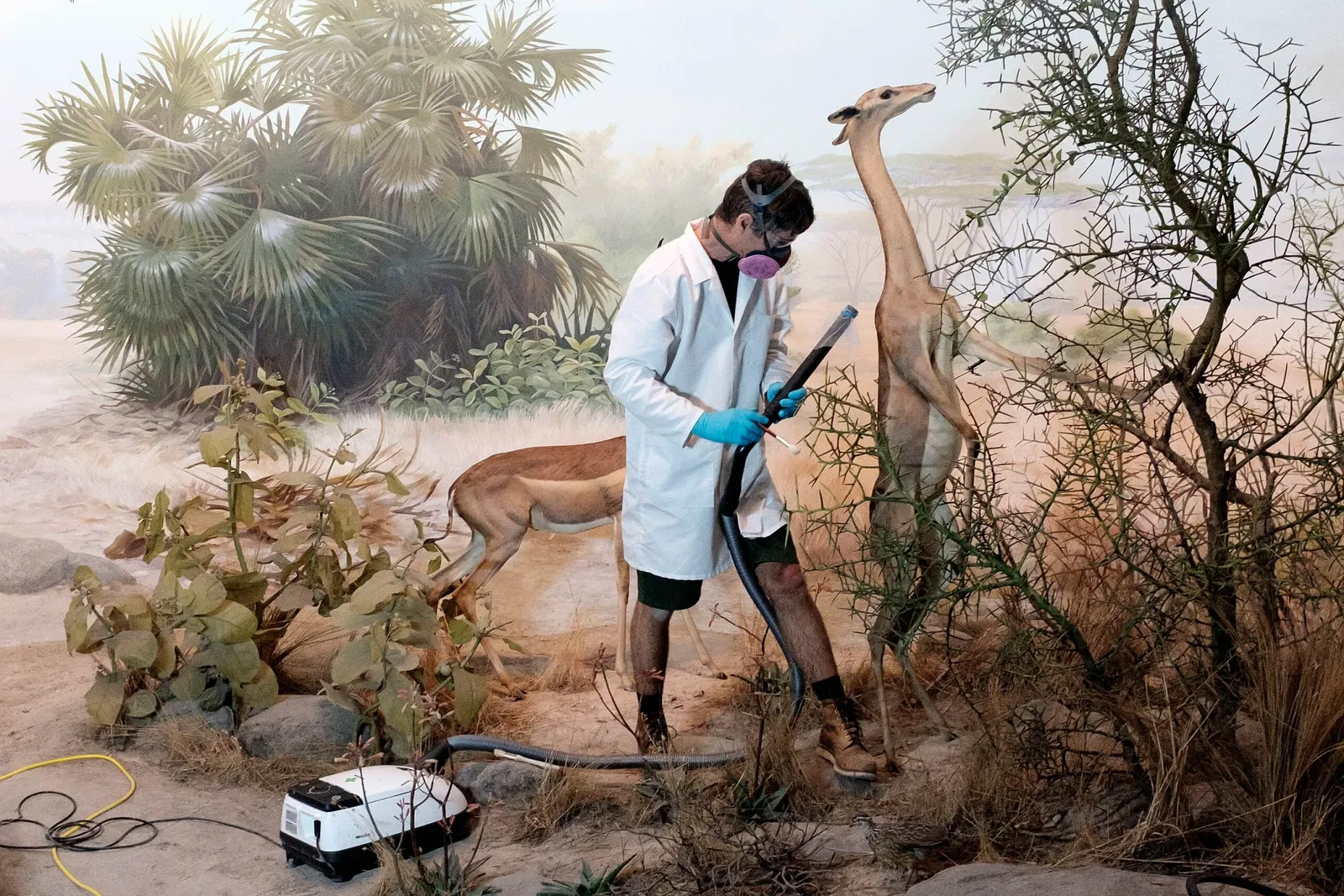 Academia de Ciencias de California