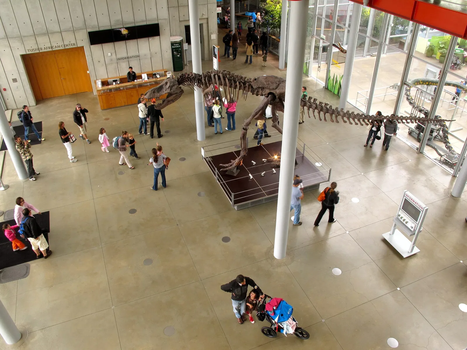 California Academy of Sciences