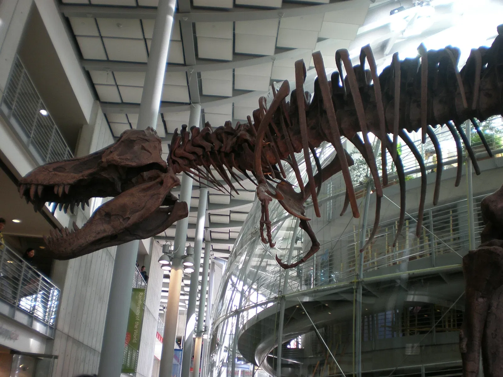 California Academy of Sciences