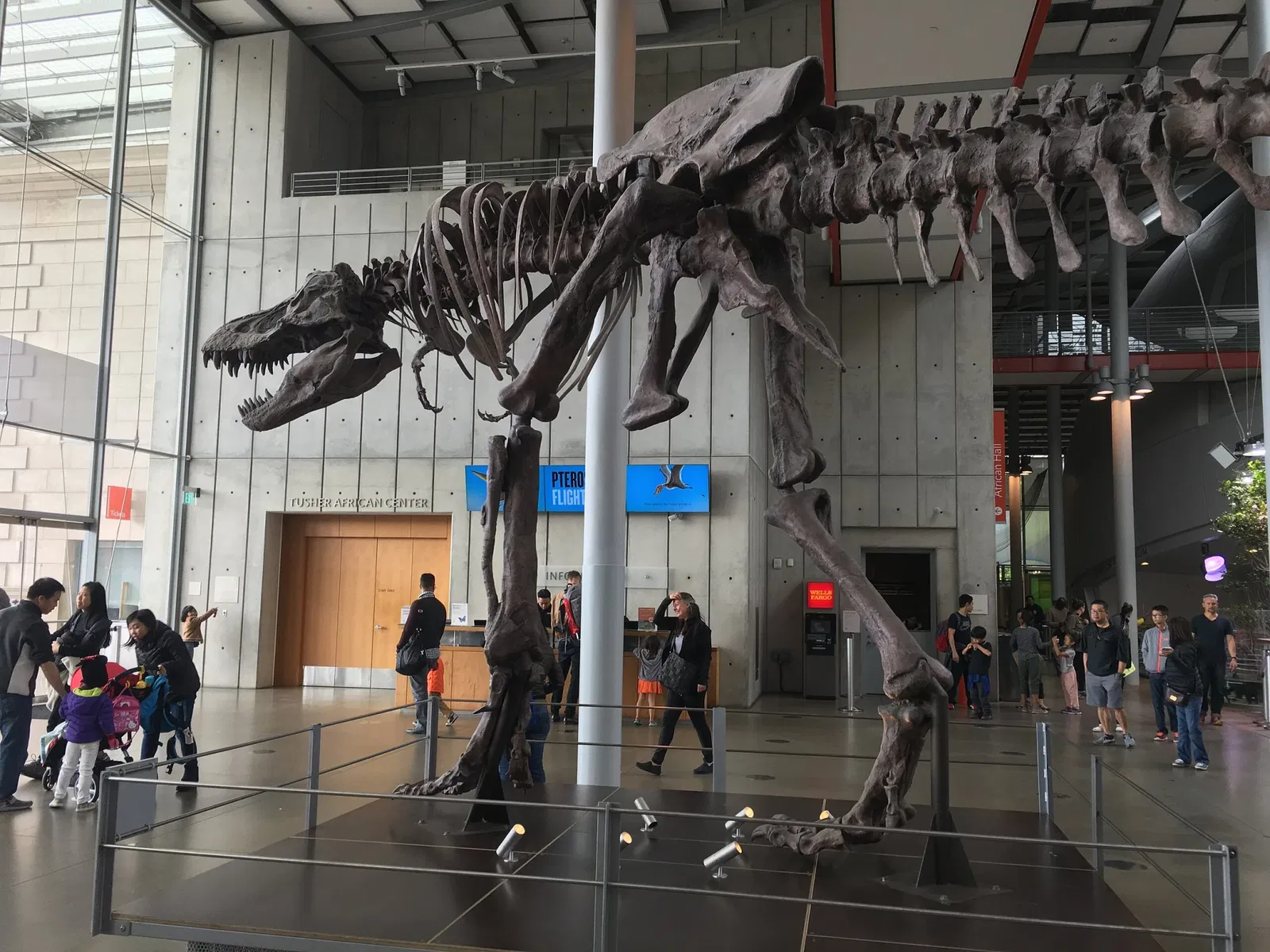 California Academy of Sciences