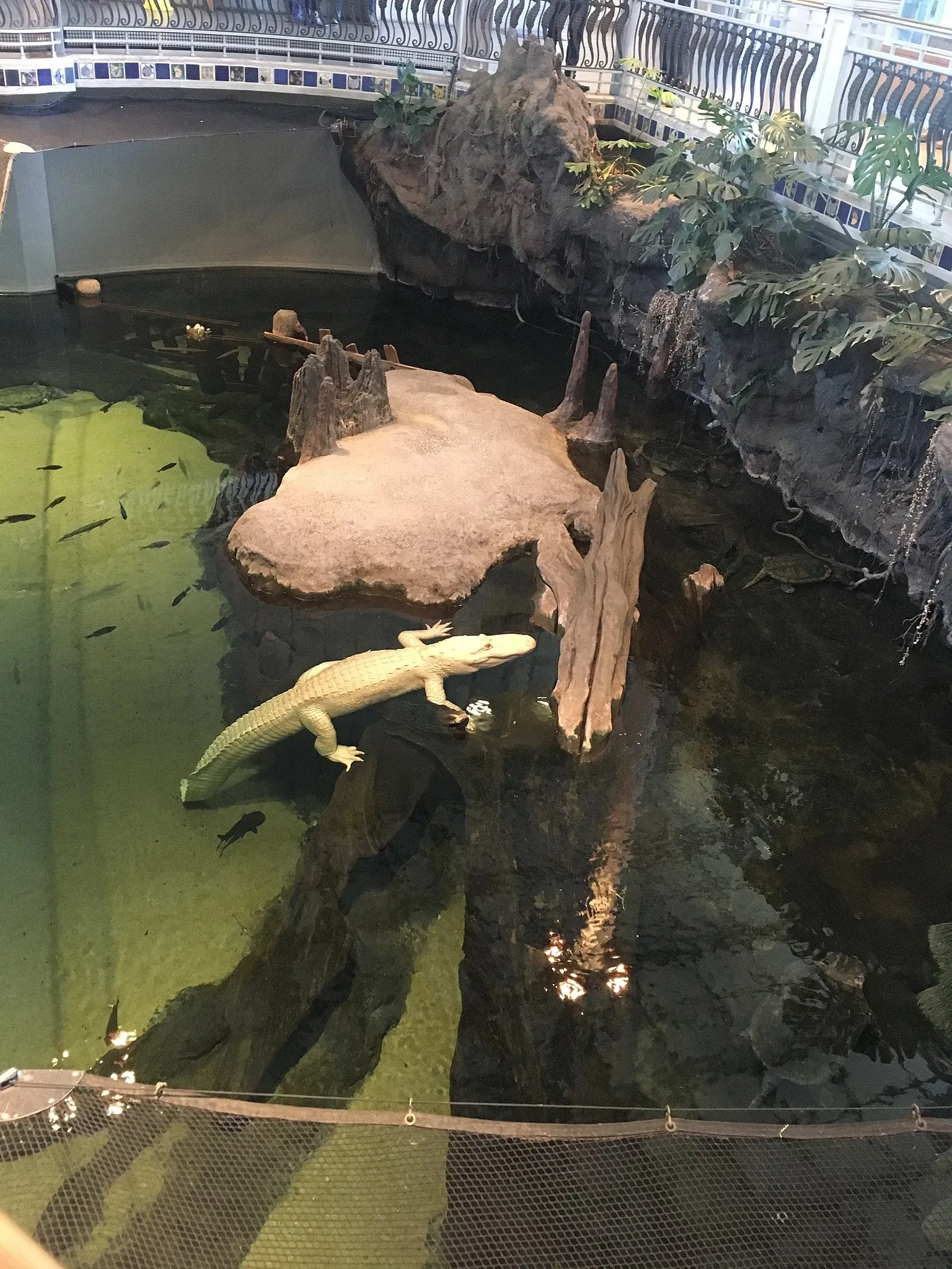 California Academy of Sciences