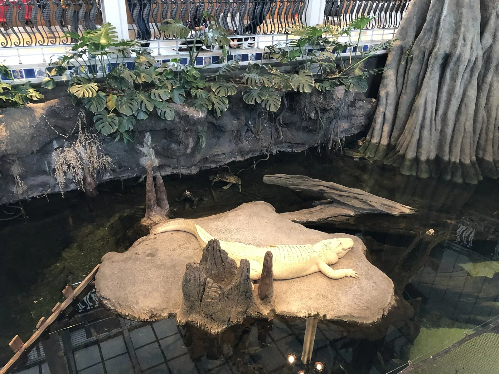 California Academy of Sciences