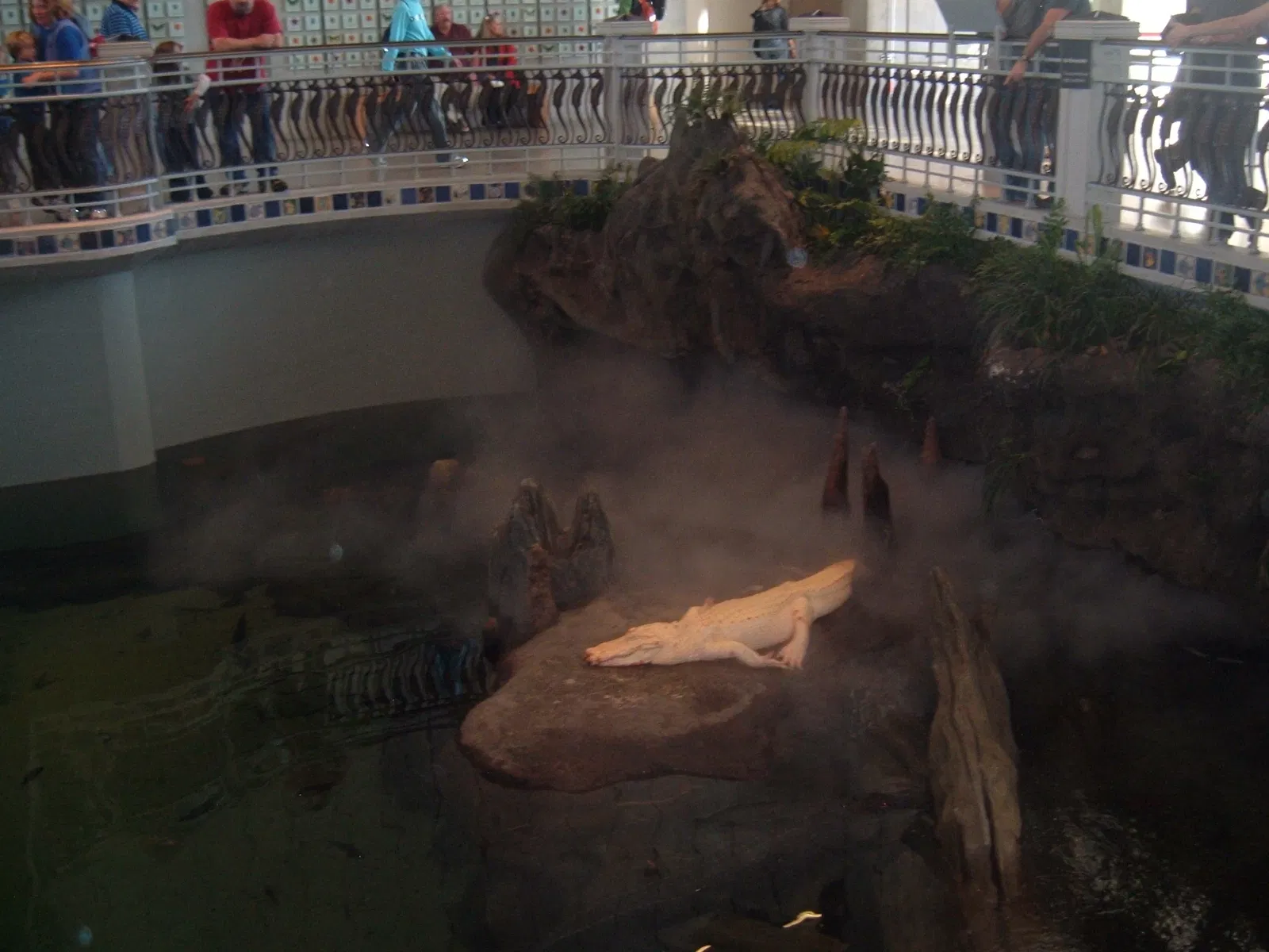 California Academy of Sciences