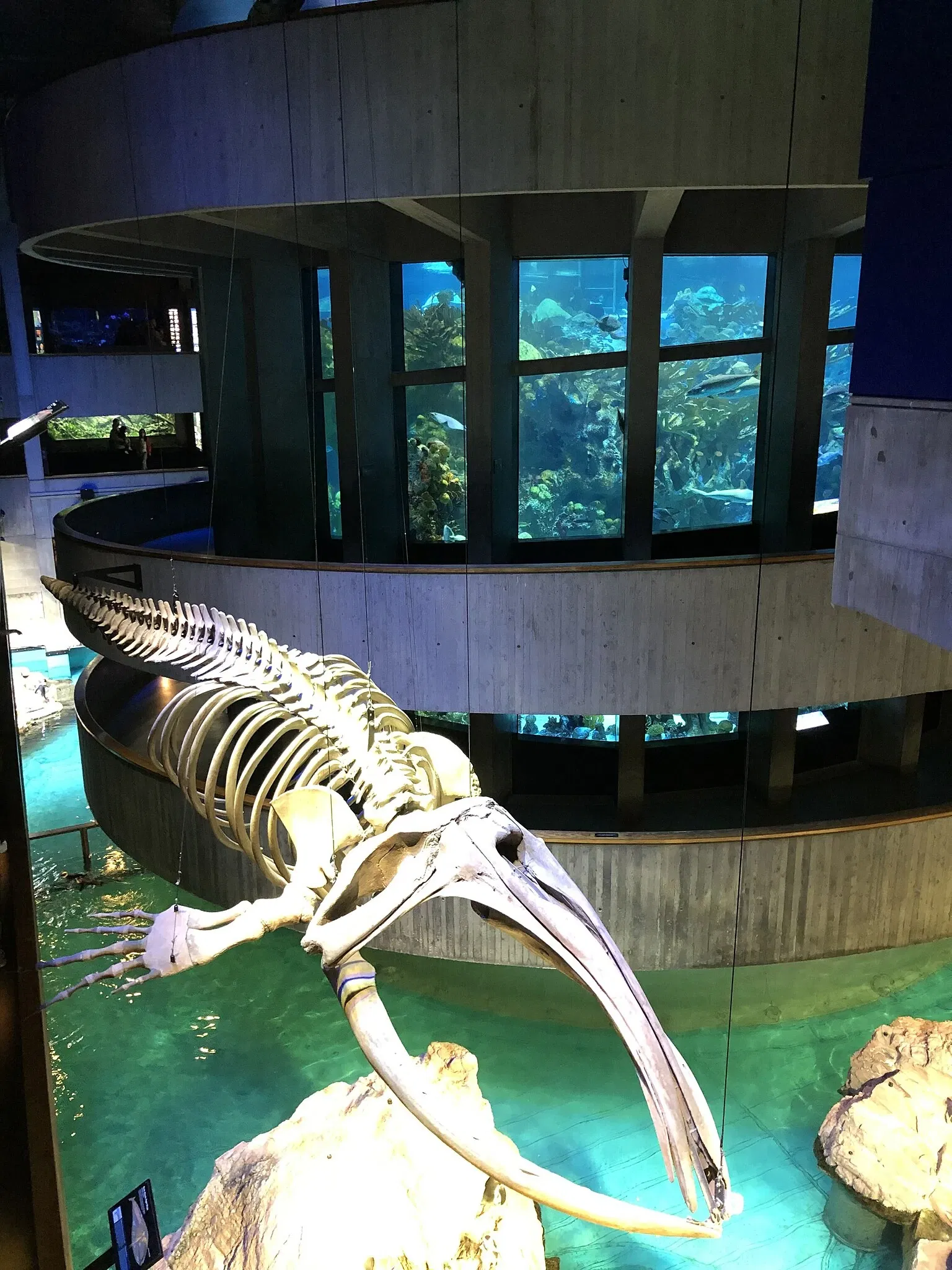 New England Aquarium