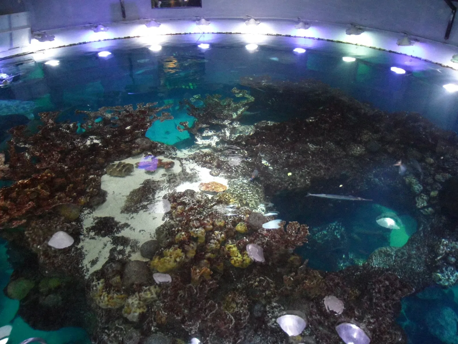 New England Aquarium