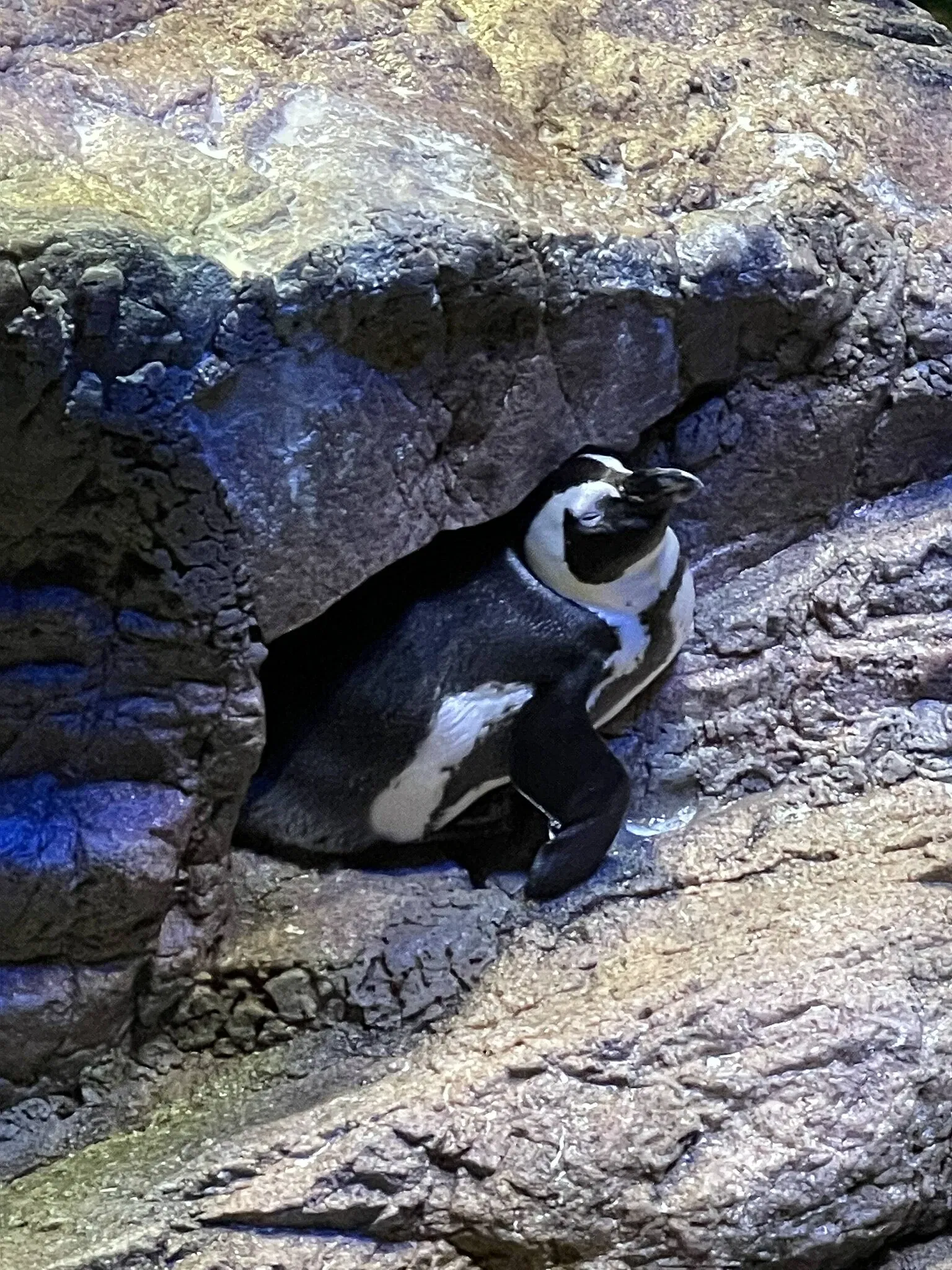New England Aquarium