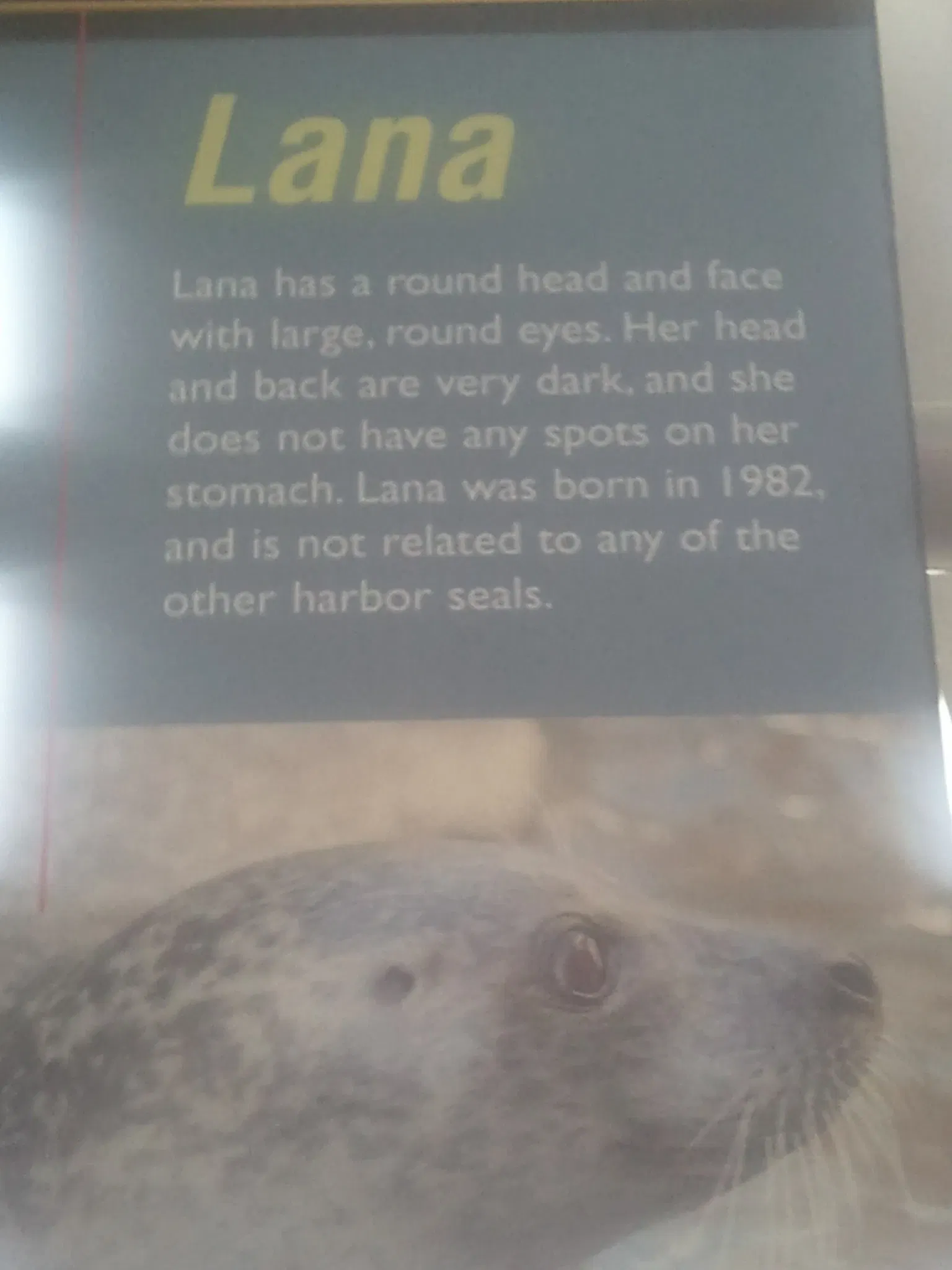 New England Aquarium