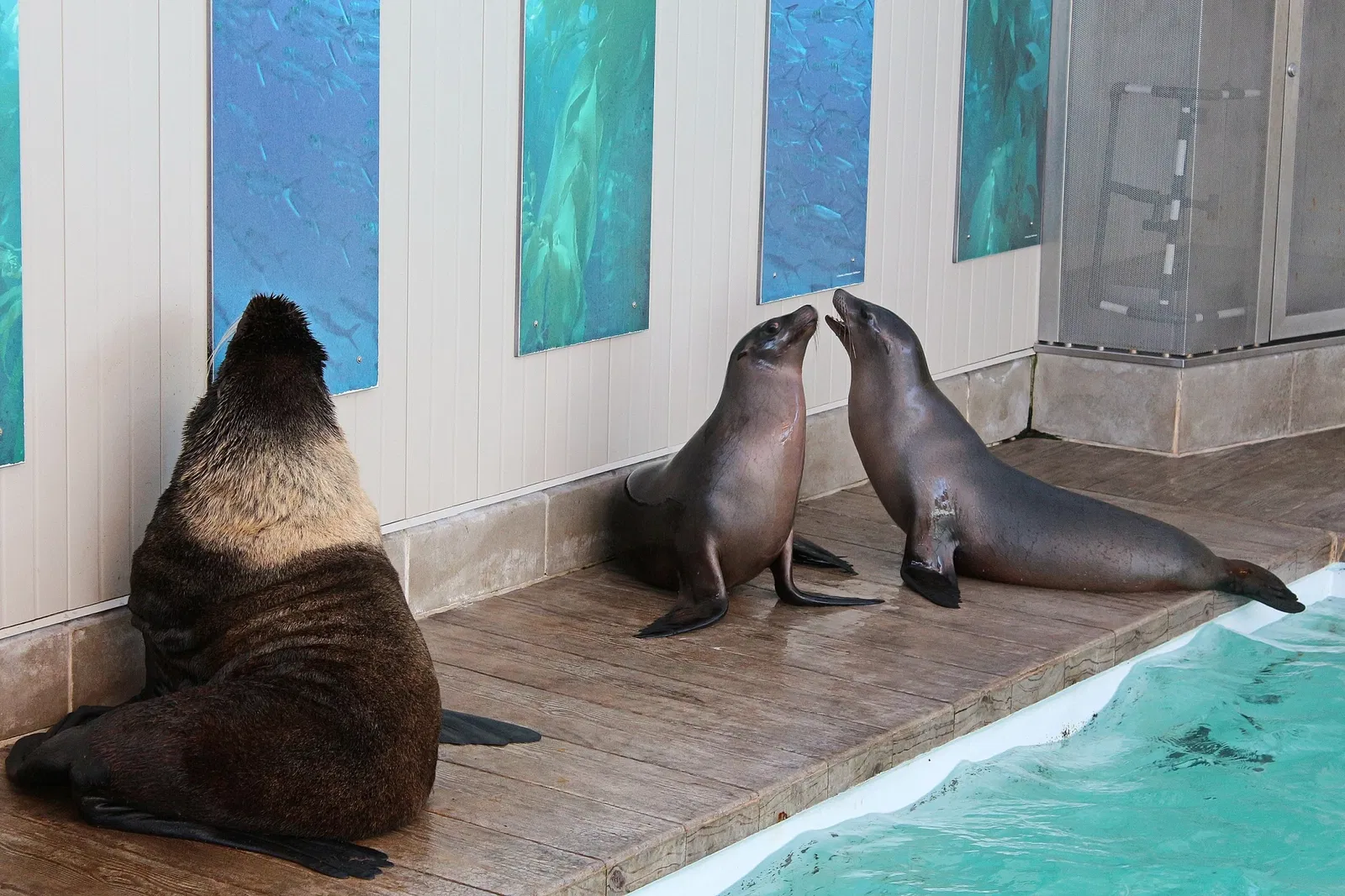New England Aquarium