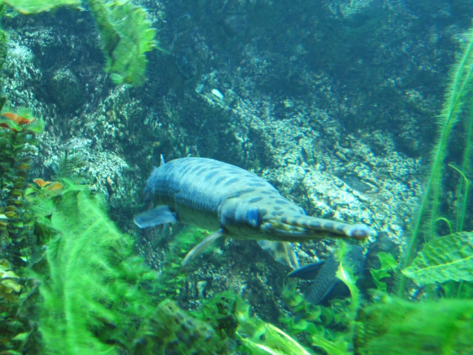 New England Aquarium
