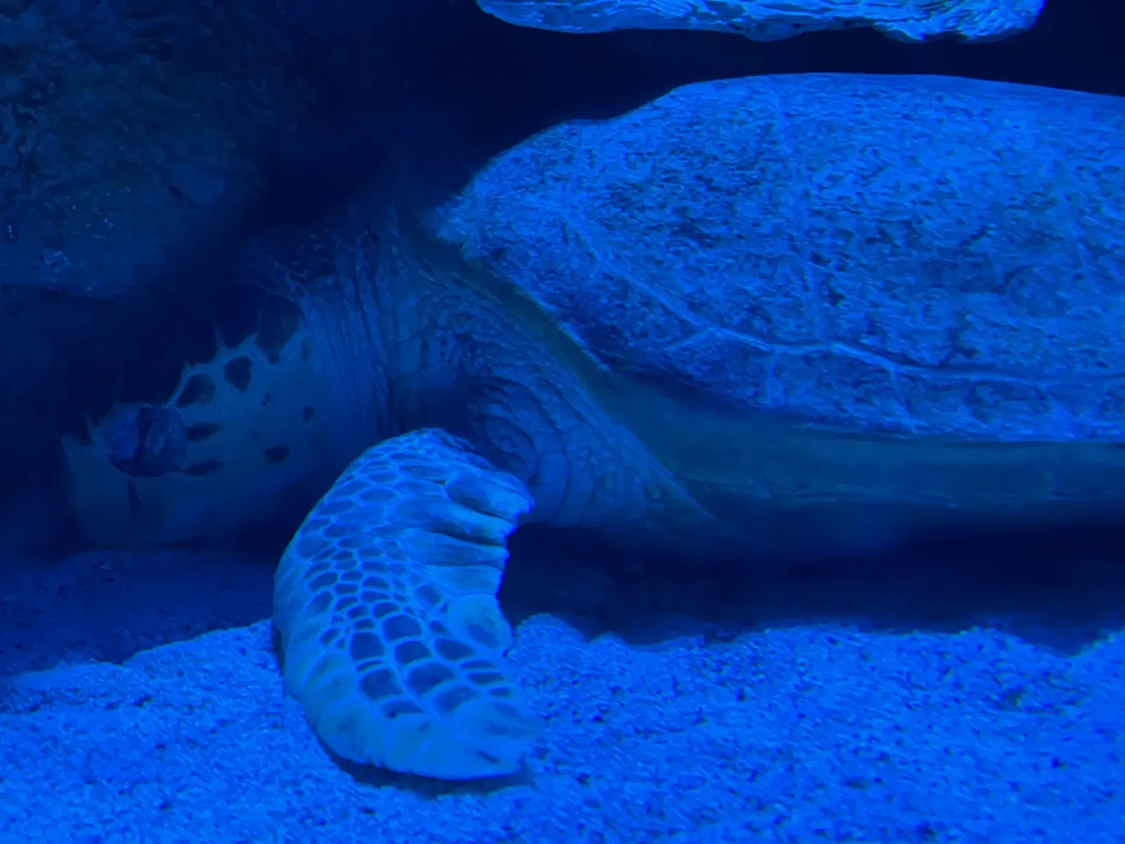 New England Aquarium