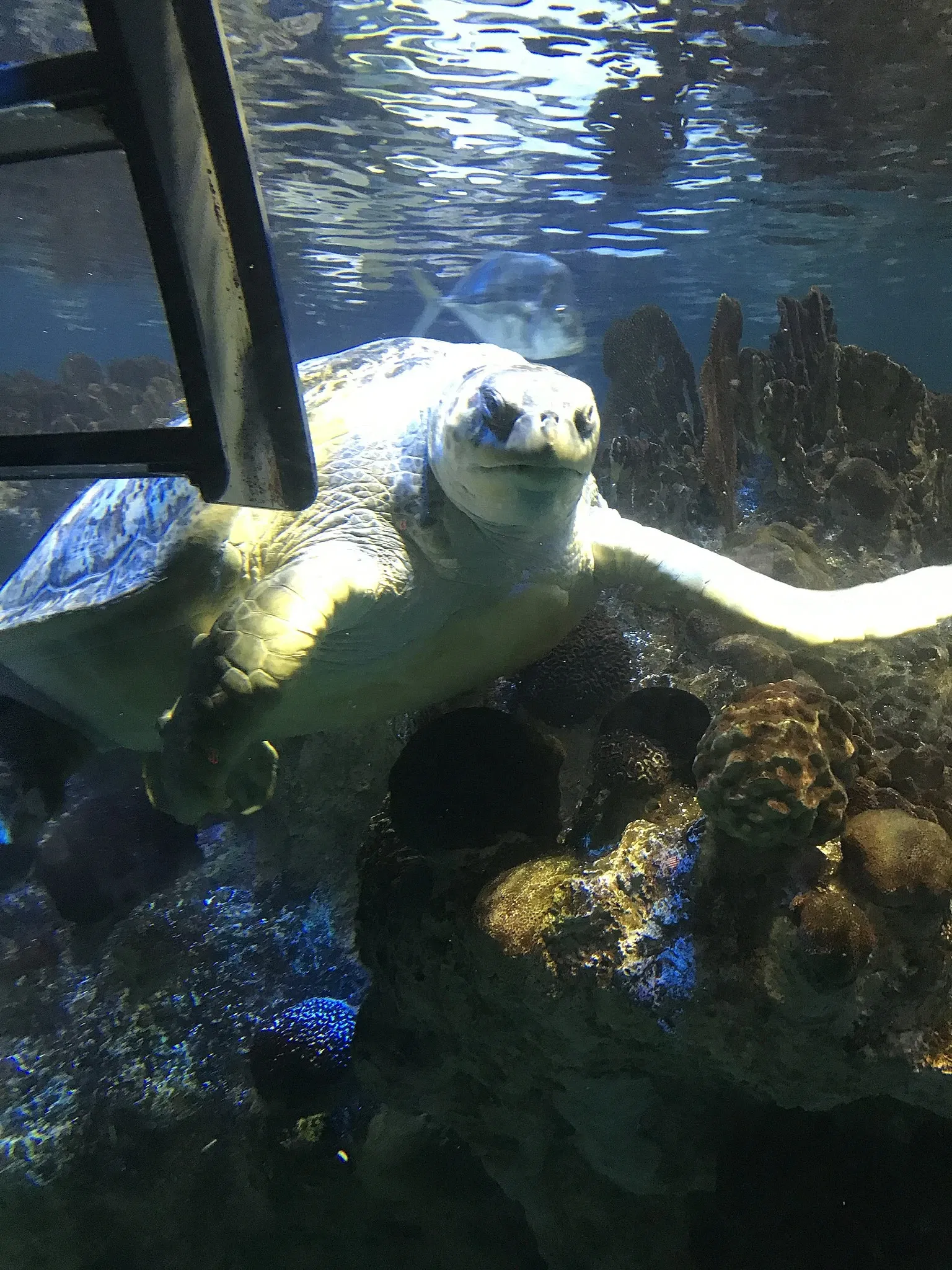 New England Aquarium