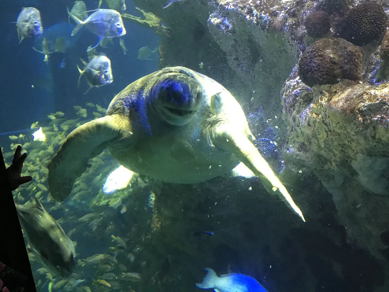 New England Aquarium