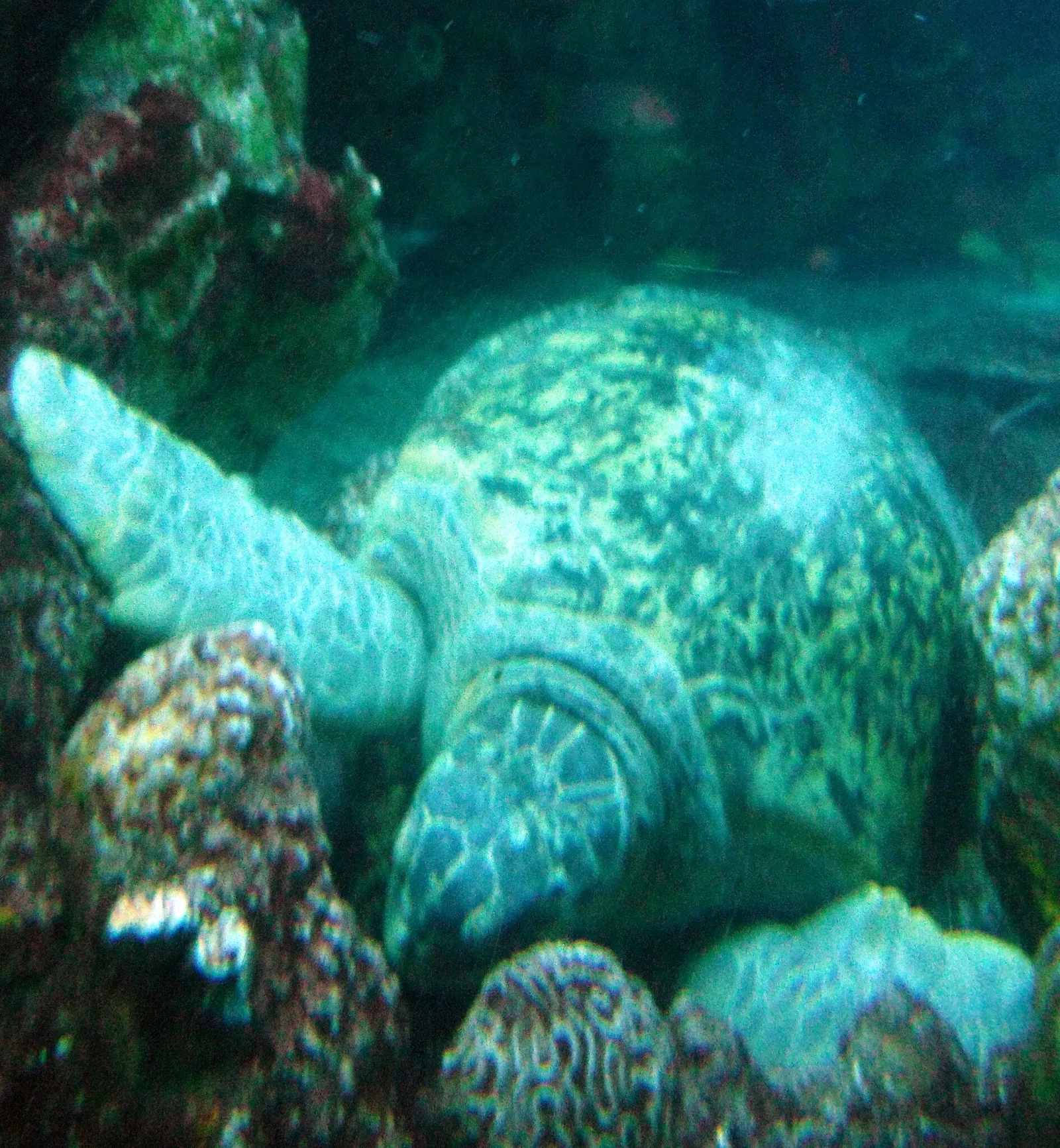 New England Aquarium