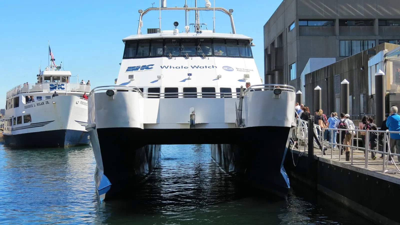 New England Aquarium