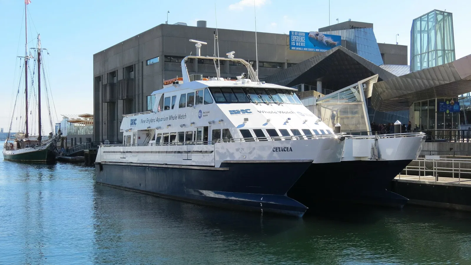 New England Aquarium
