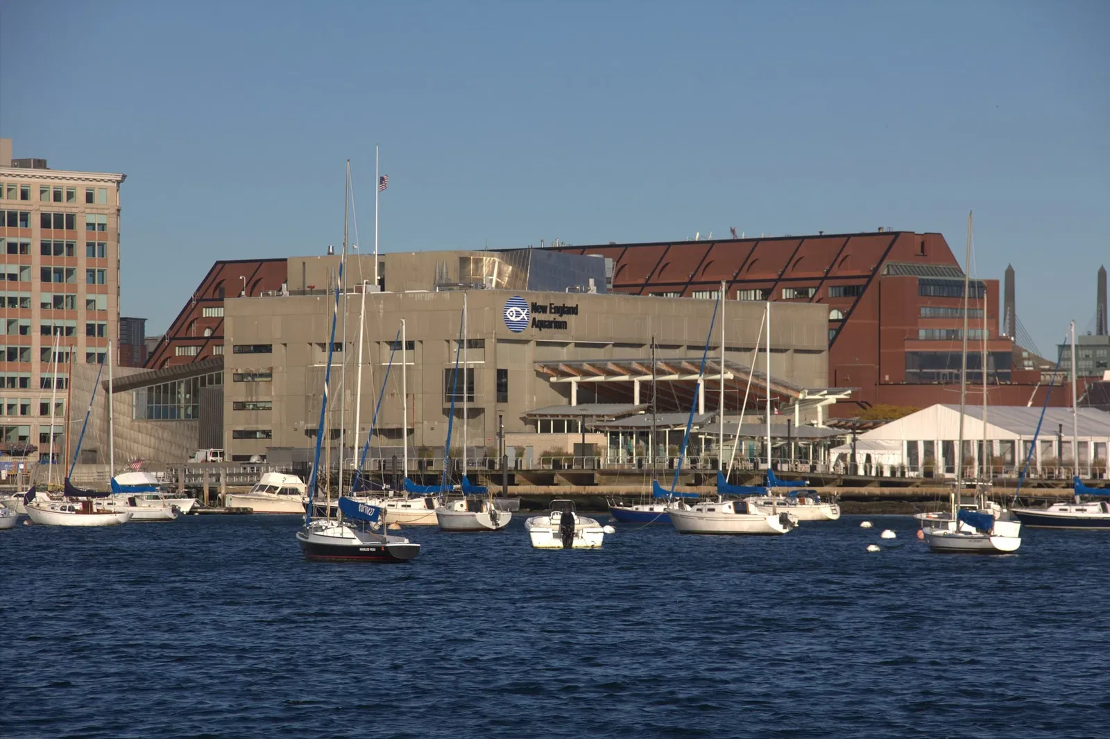 New England Aquarium