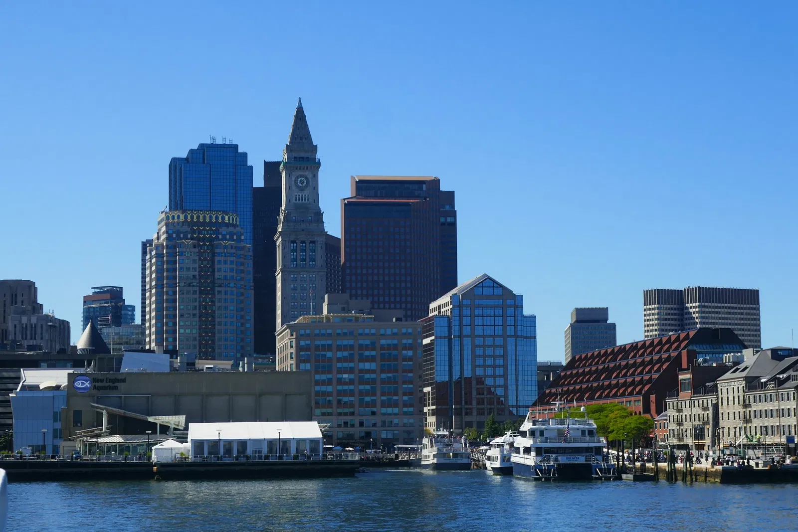 New England Aquarium