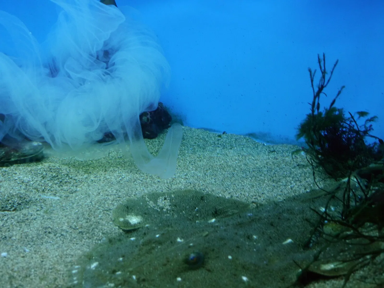 New England Aquarium