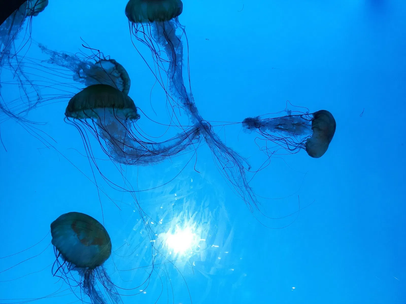 New England Aquarium