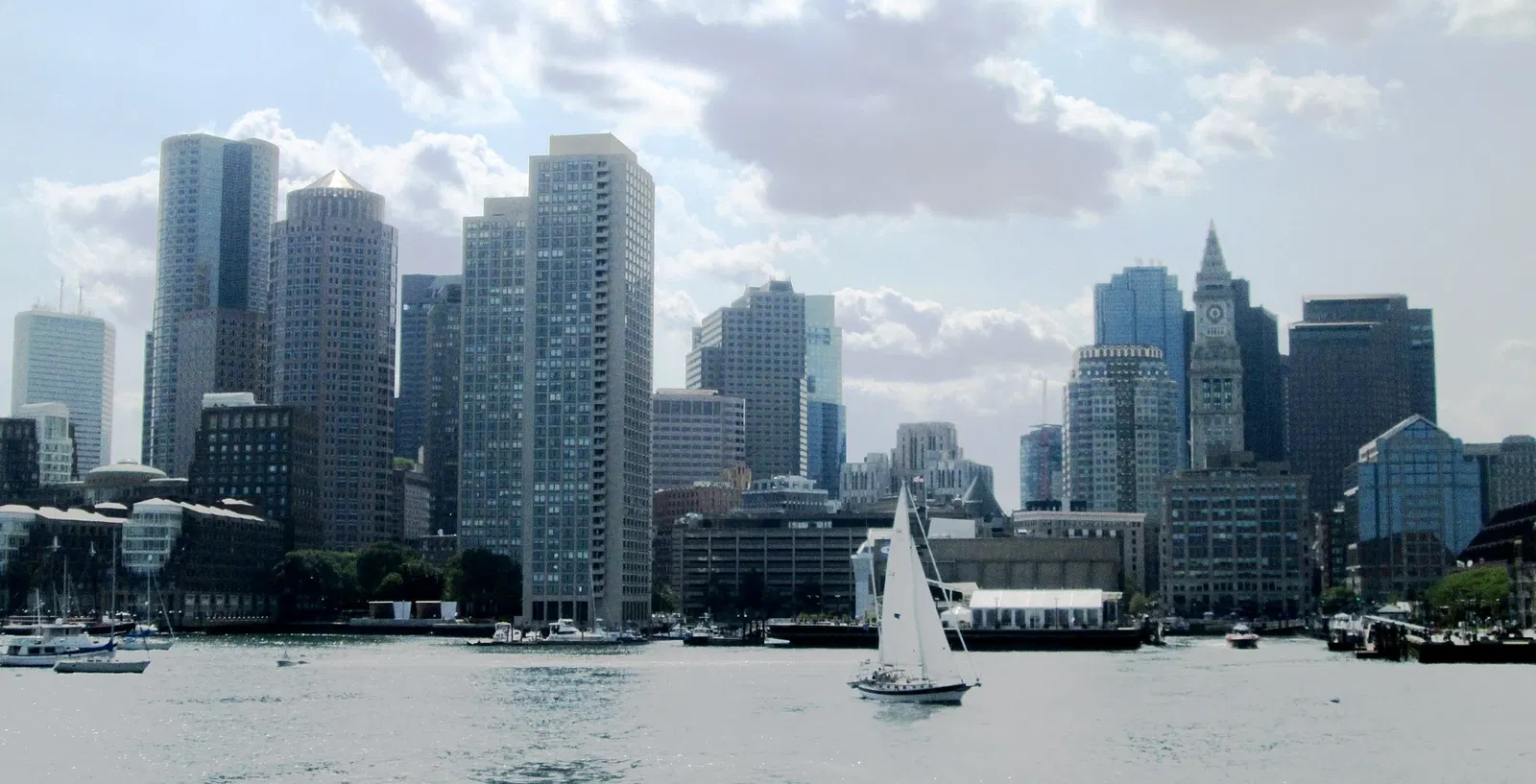 New England Aquarium