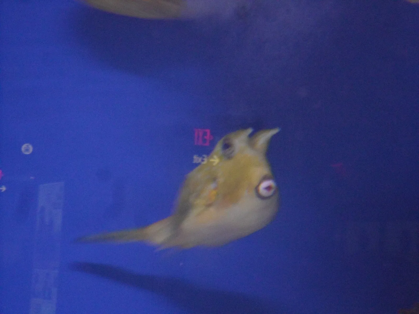 New England Aquarium