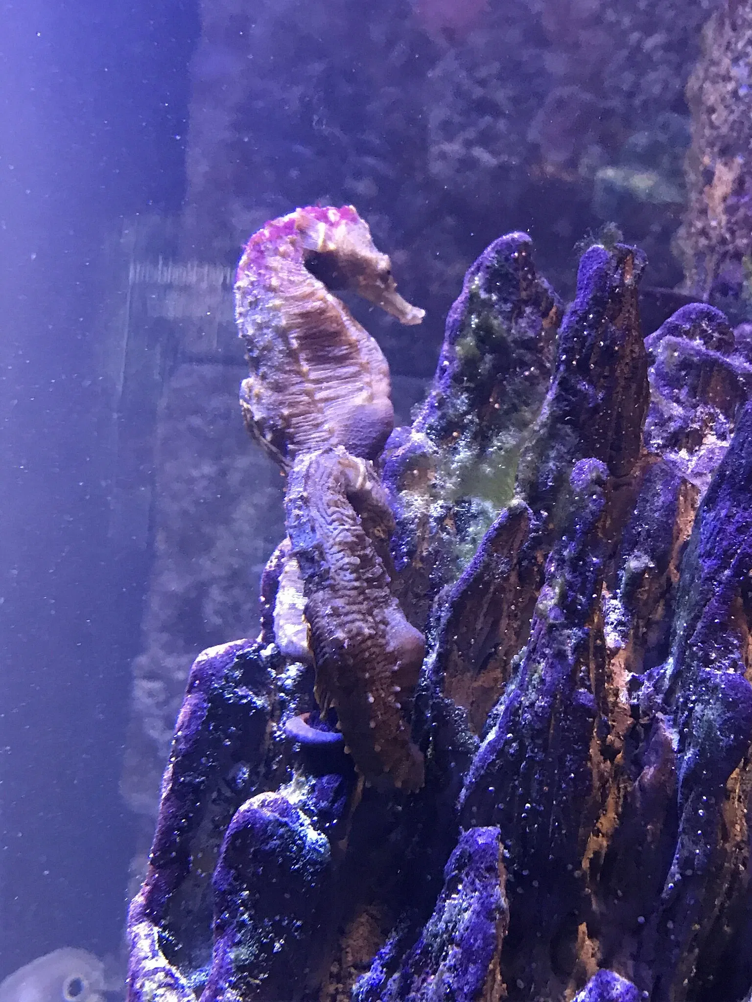 New England Aquarium