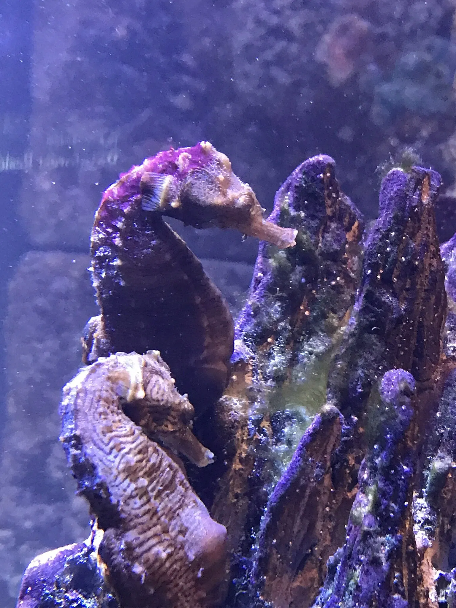 New England Aquarium