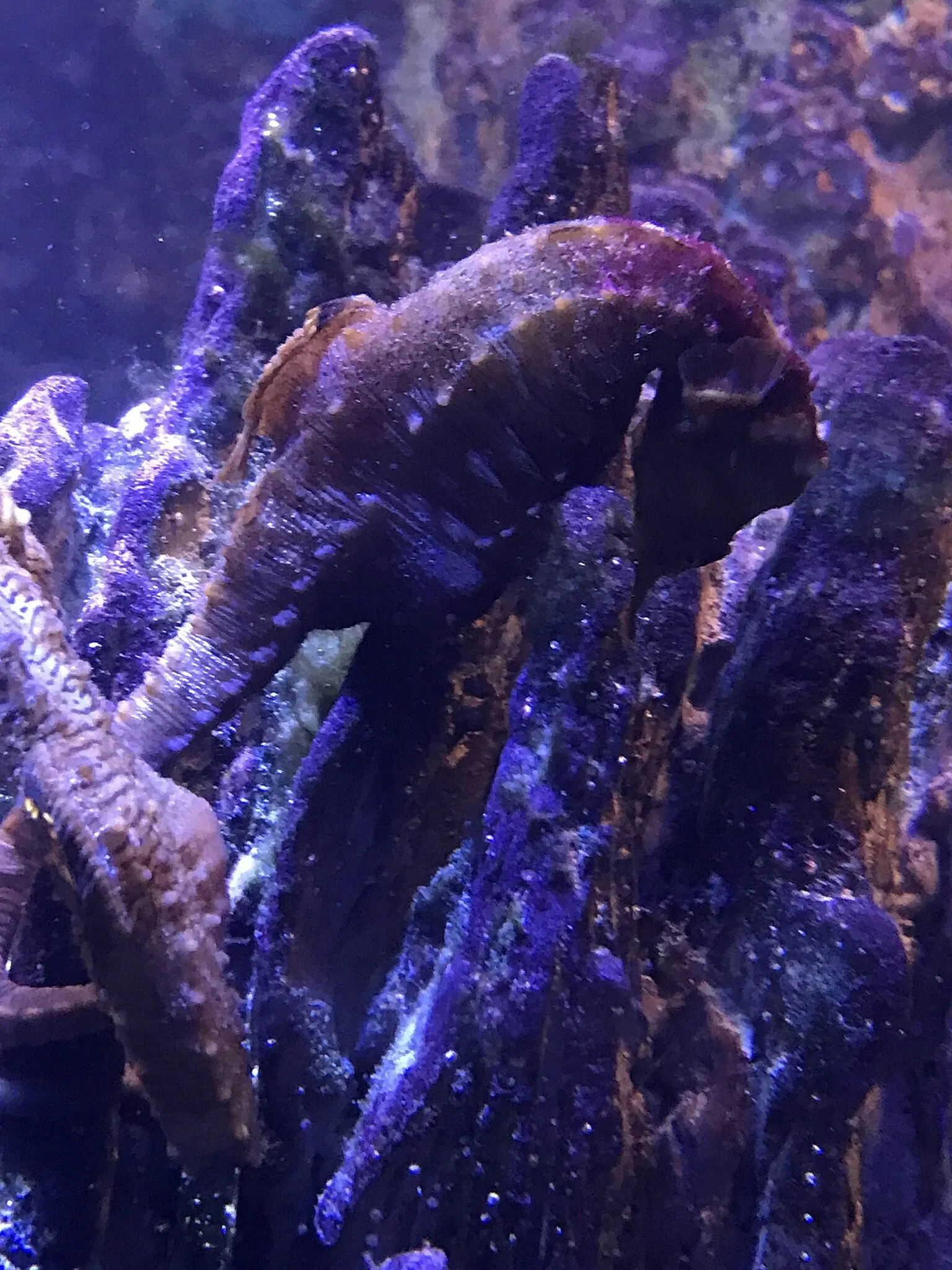 New England Aquarium