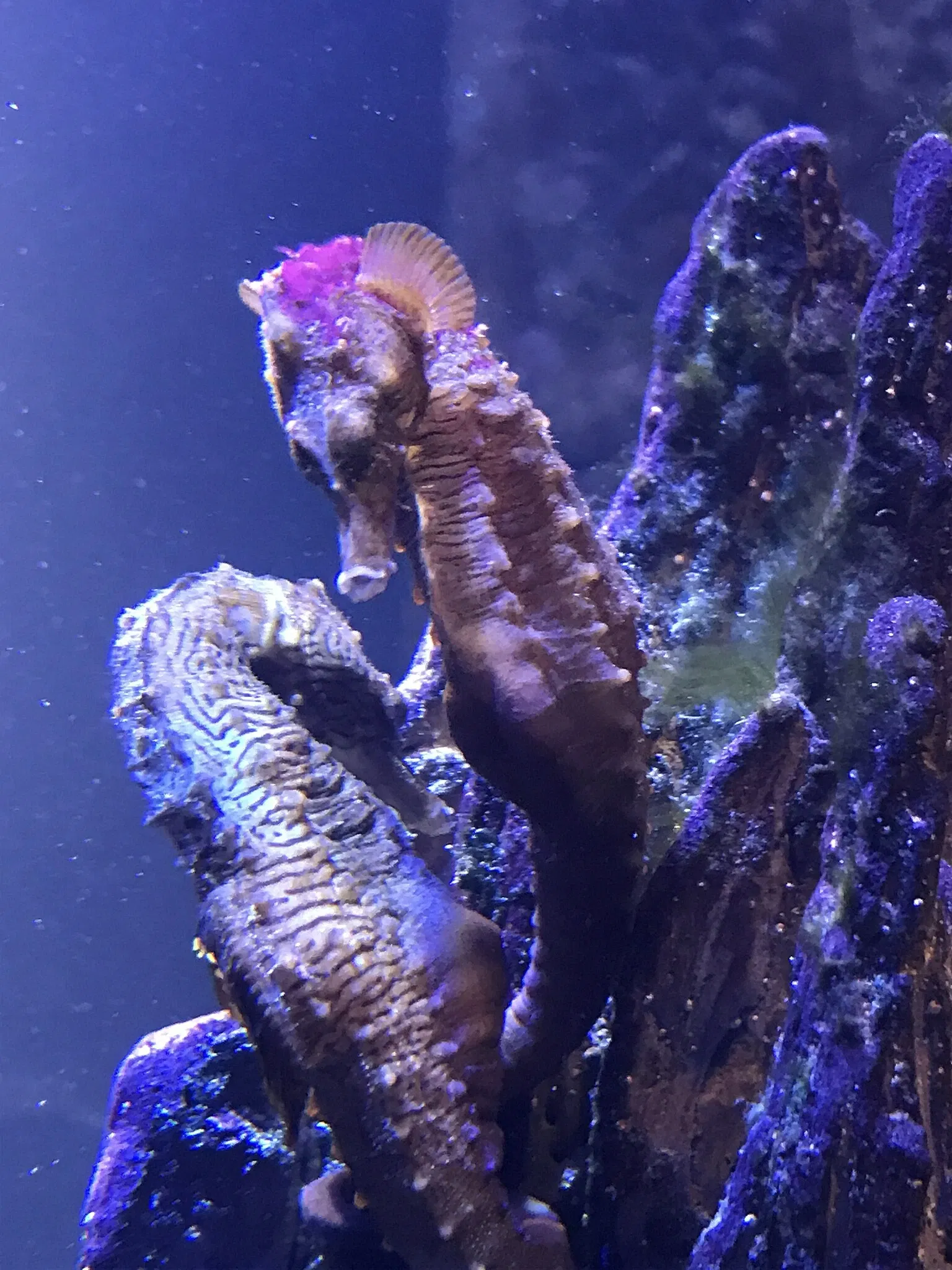 New England Aquarium