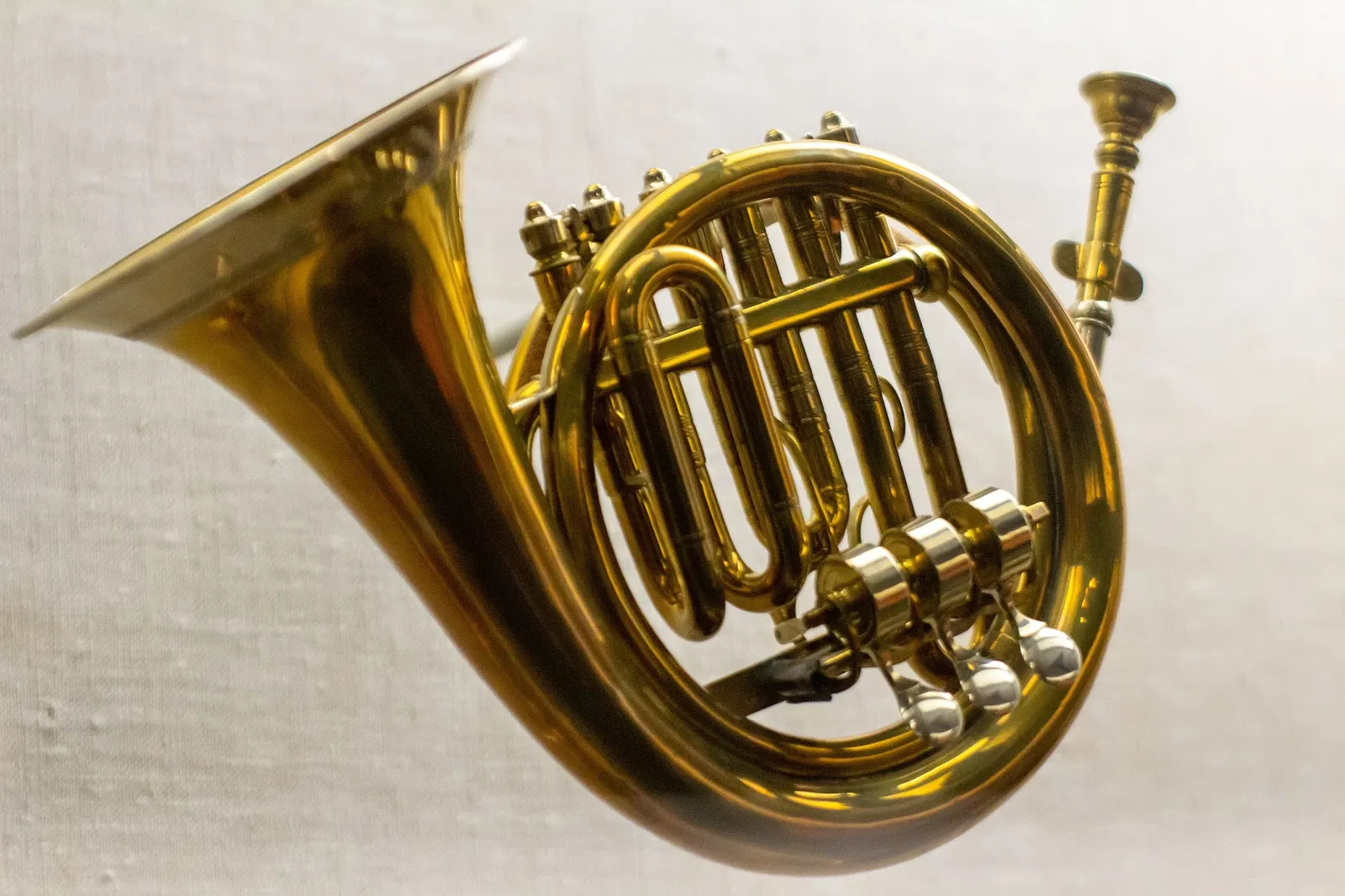 Museo de Bellas Artes (Boston)