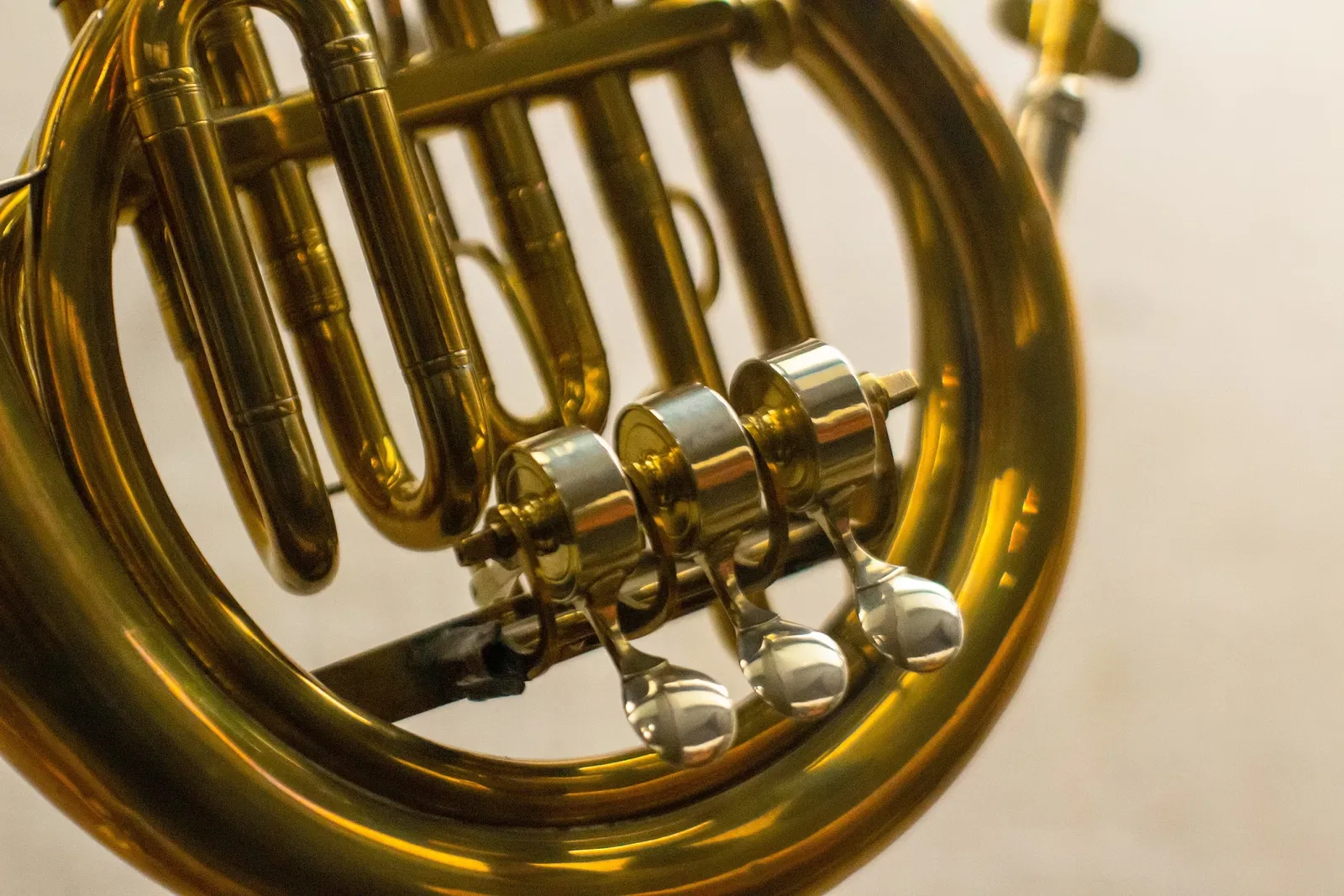 Museo de Bellas Artes (Boston)