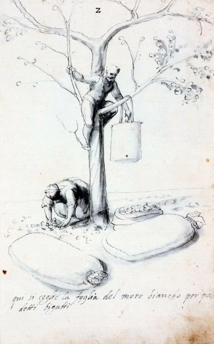 Museo de Bellas Artes (Boston)