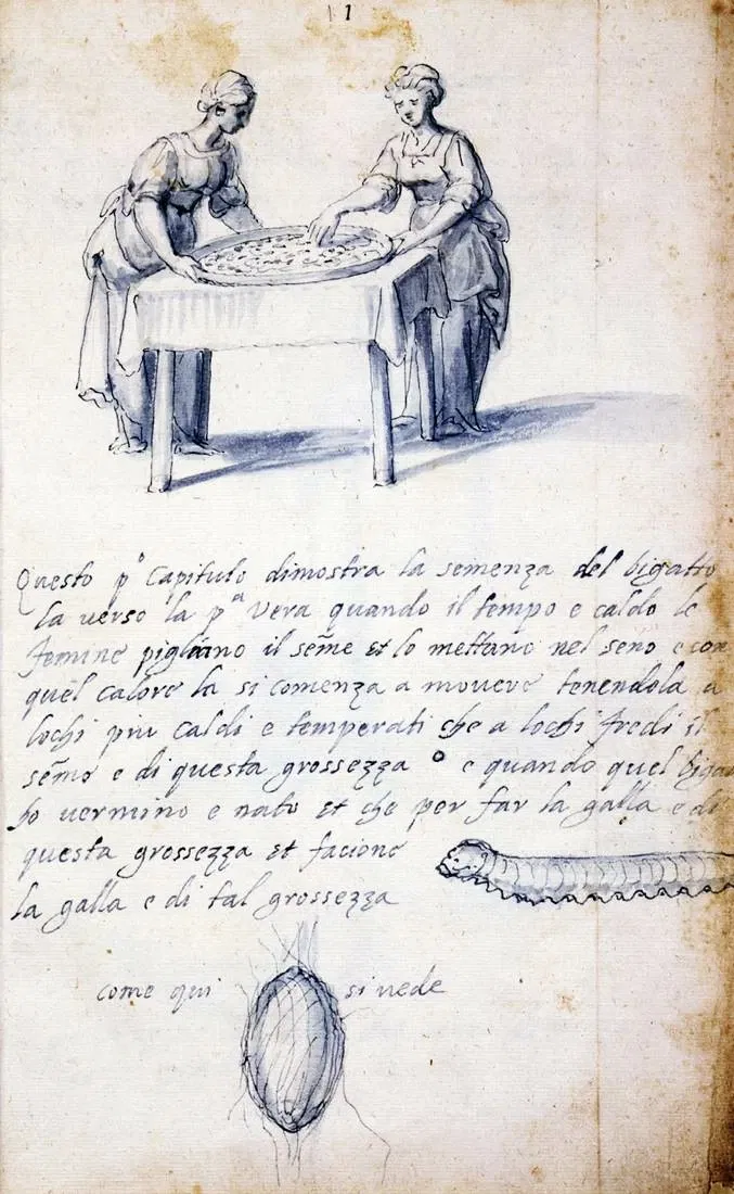 Museo de Bellas Artes (Boston)