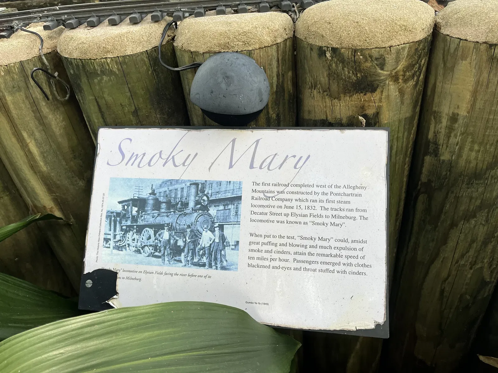 New Orleans Botanical Garden